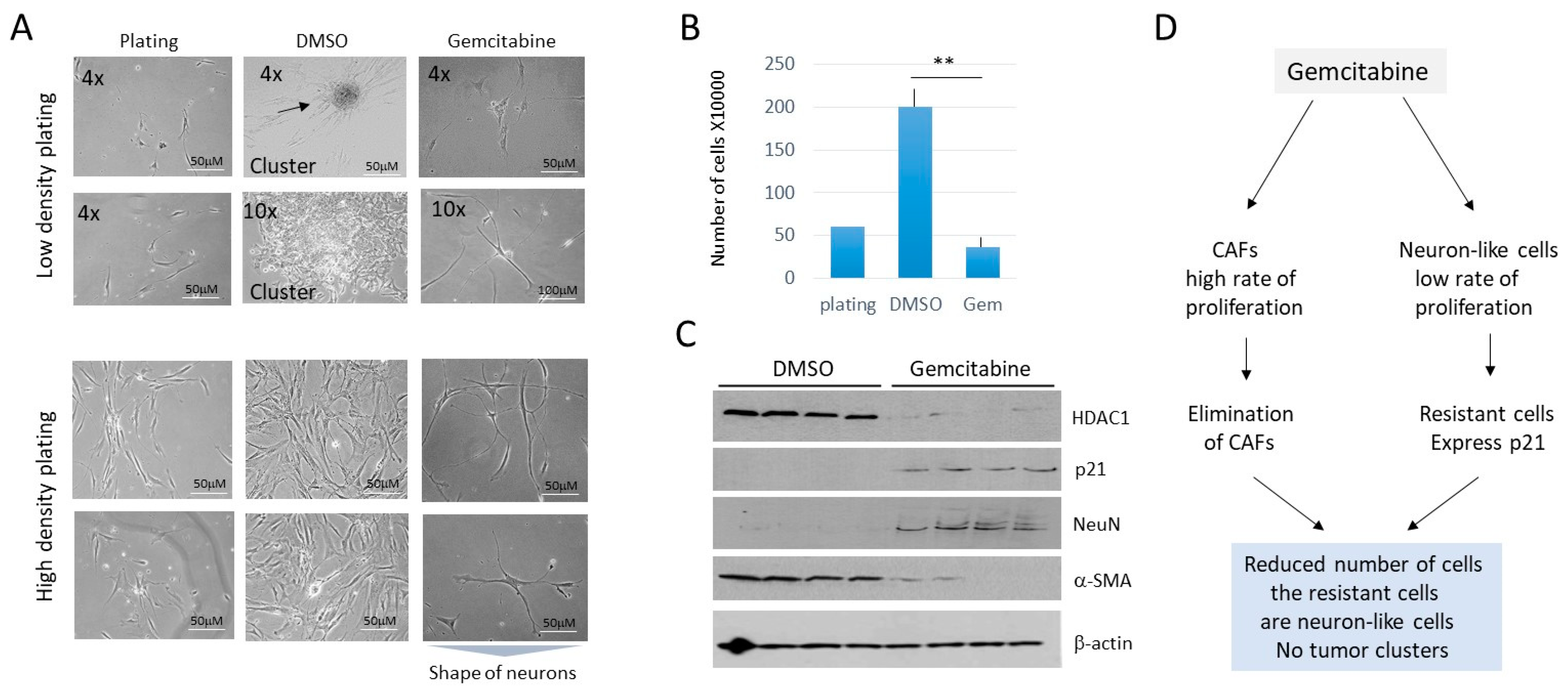 Cancers 16 02300 g009