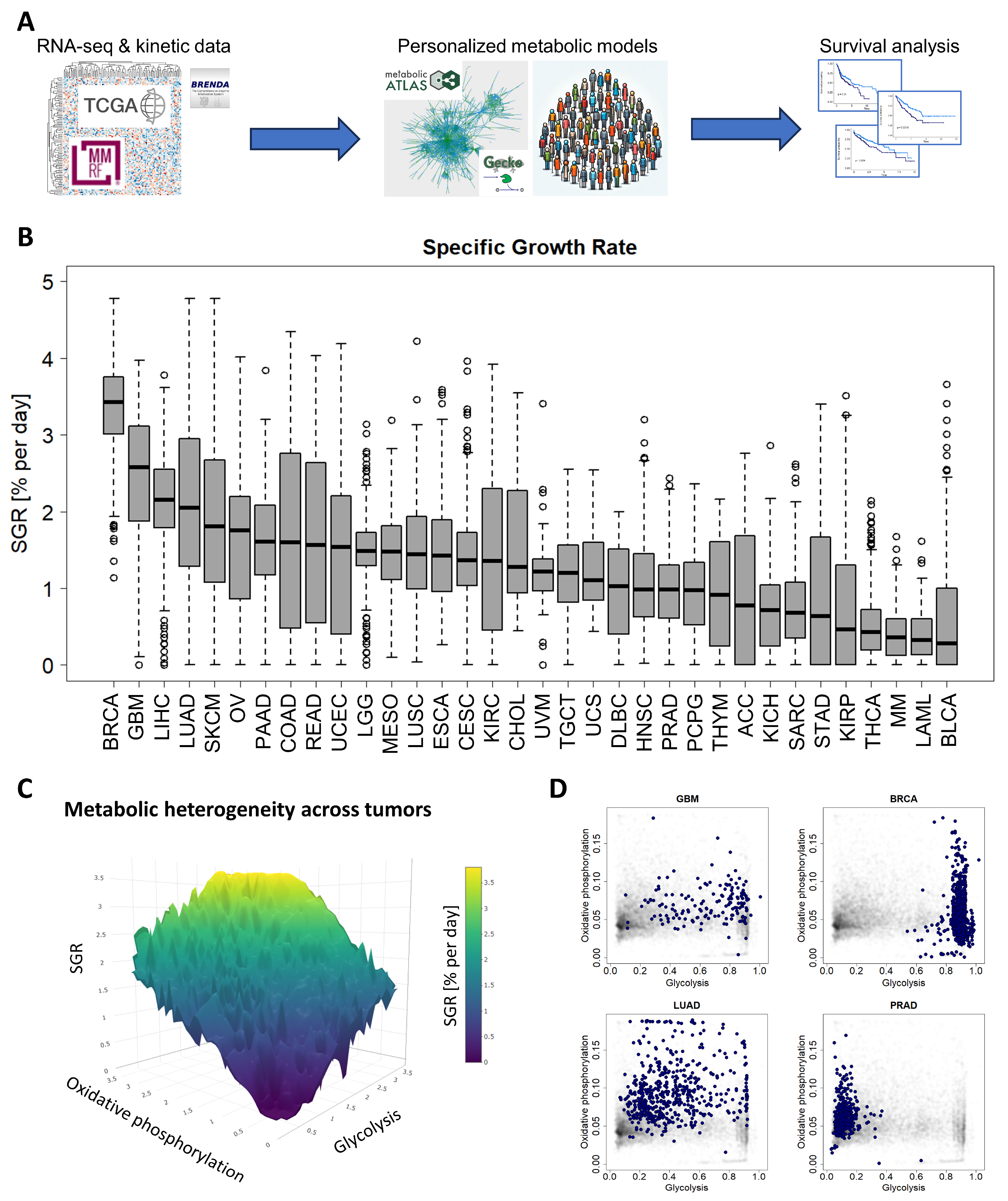 Cancers 16 02302 g001 Cancers 16 02302 g001