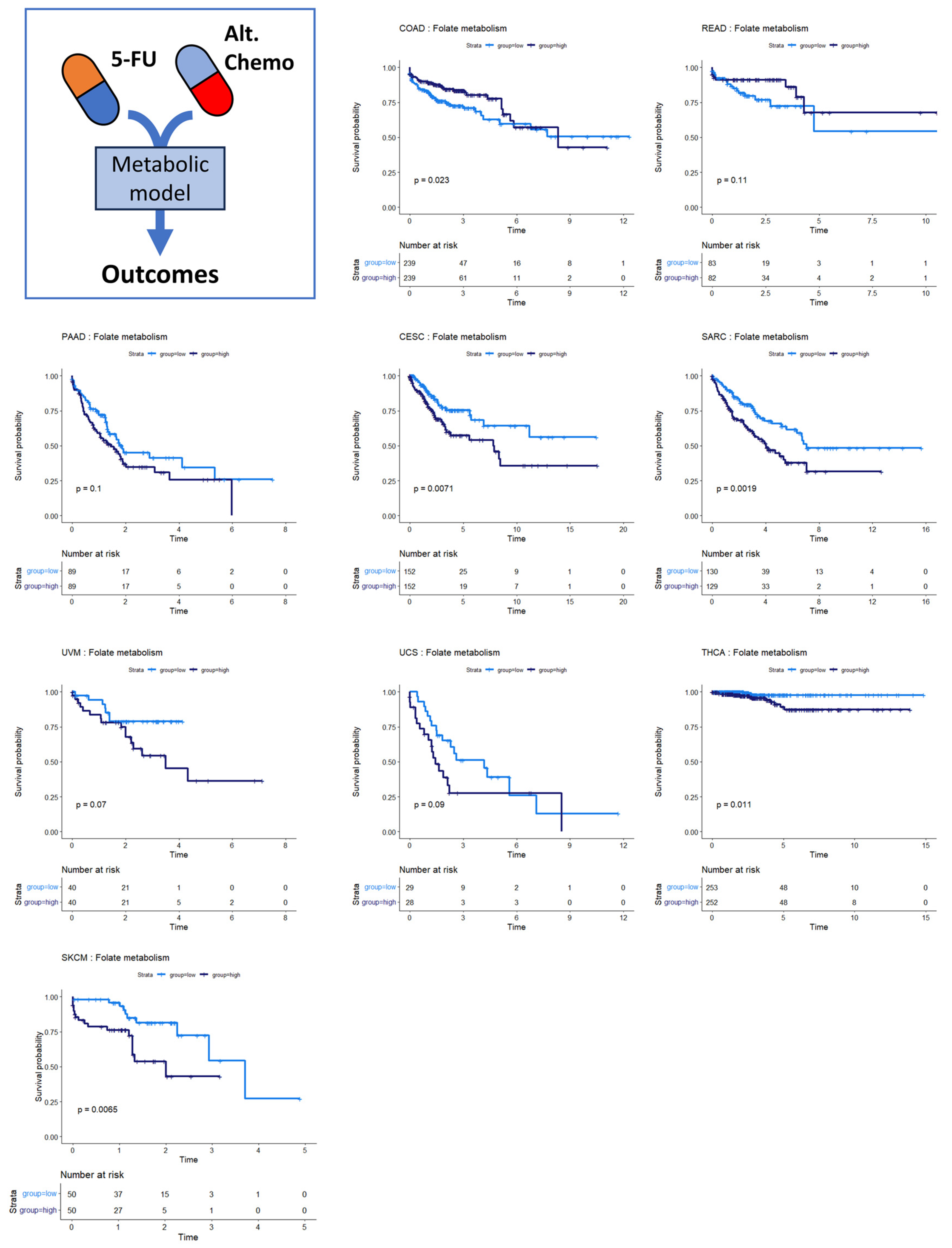 Cancers 16 02302 g005 Cancers 16 02302 g005