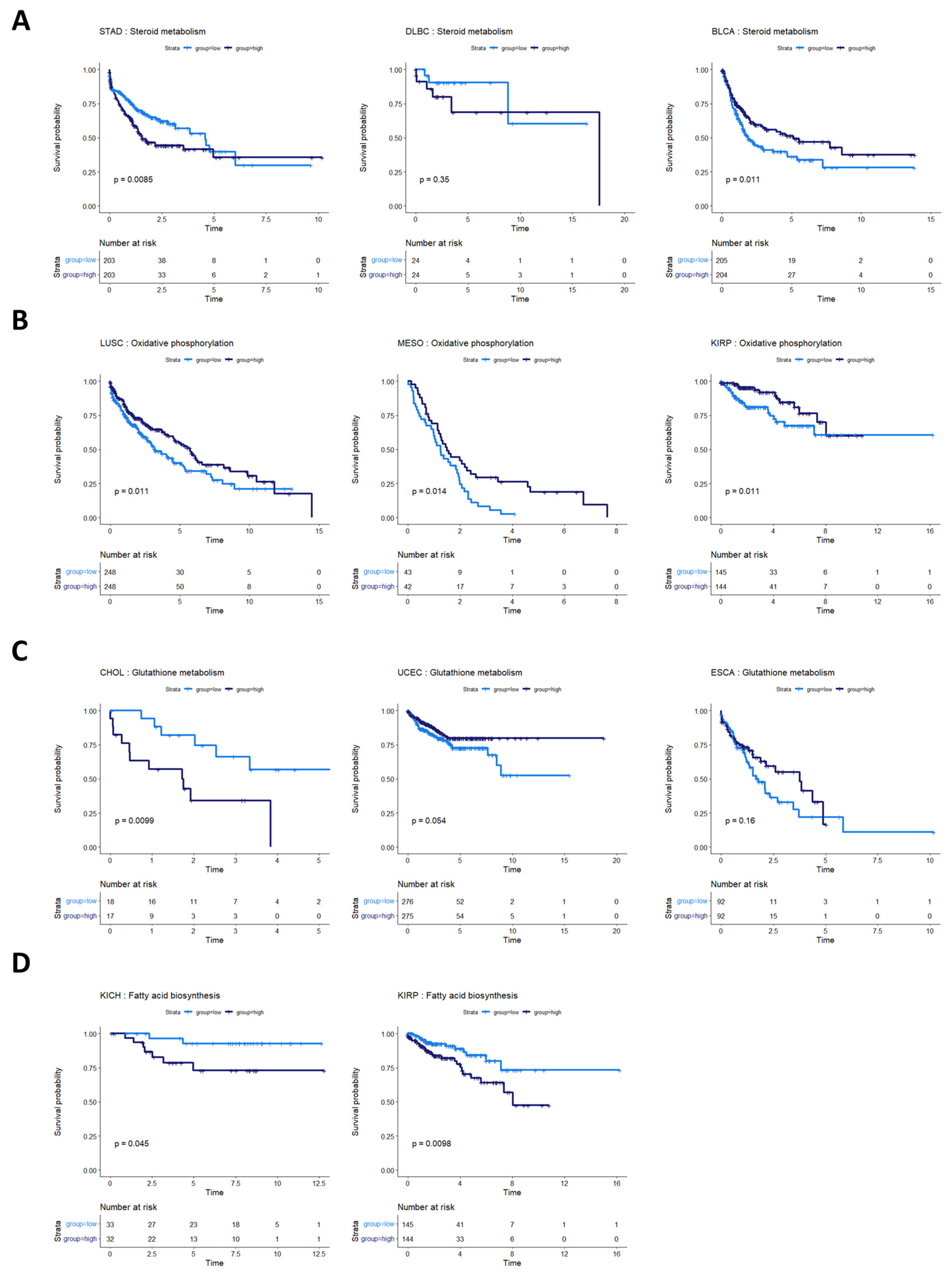 Cancers 16 02302 g006 Cancers 16 02302 g006