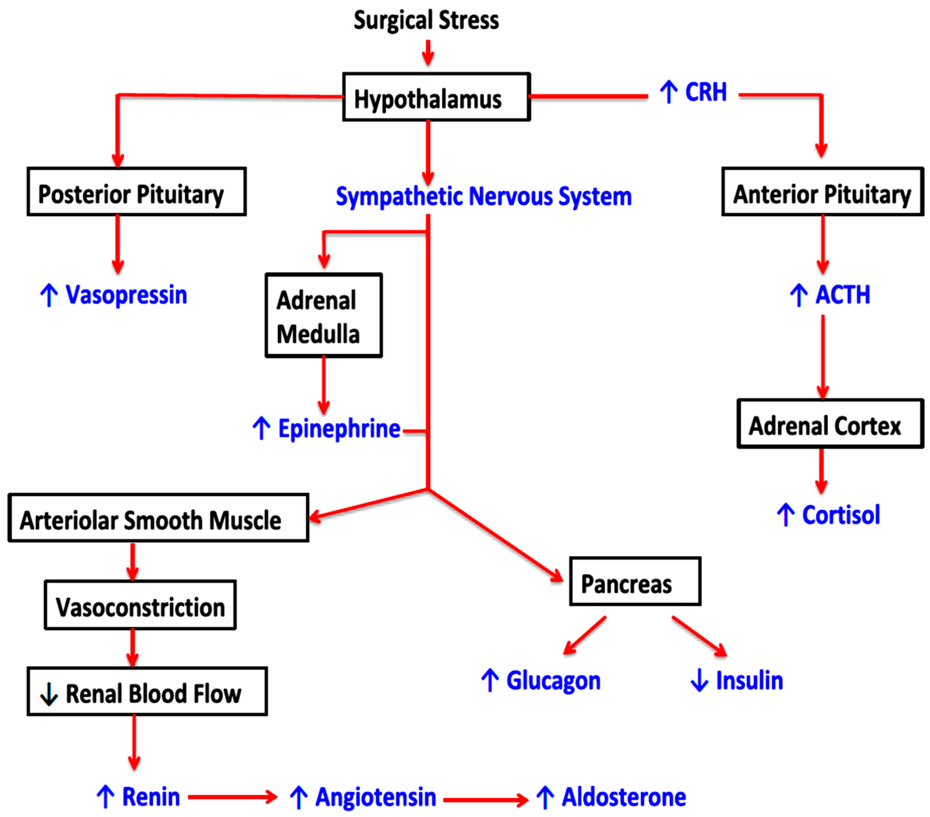 Cancers 16 02304 g001