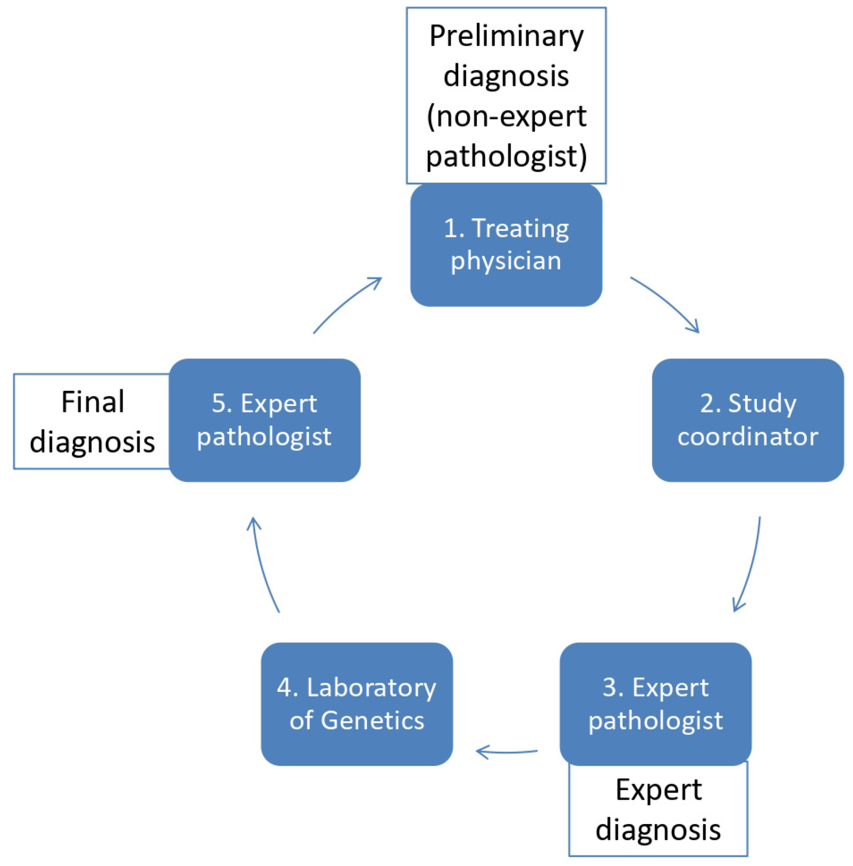 Cancers 16 02314 g001