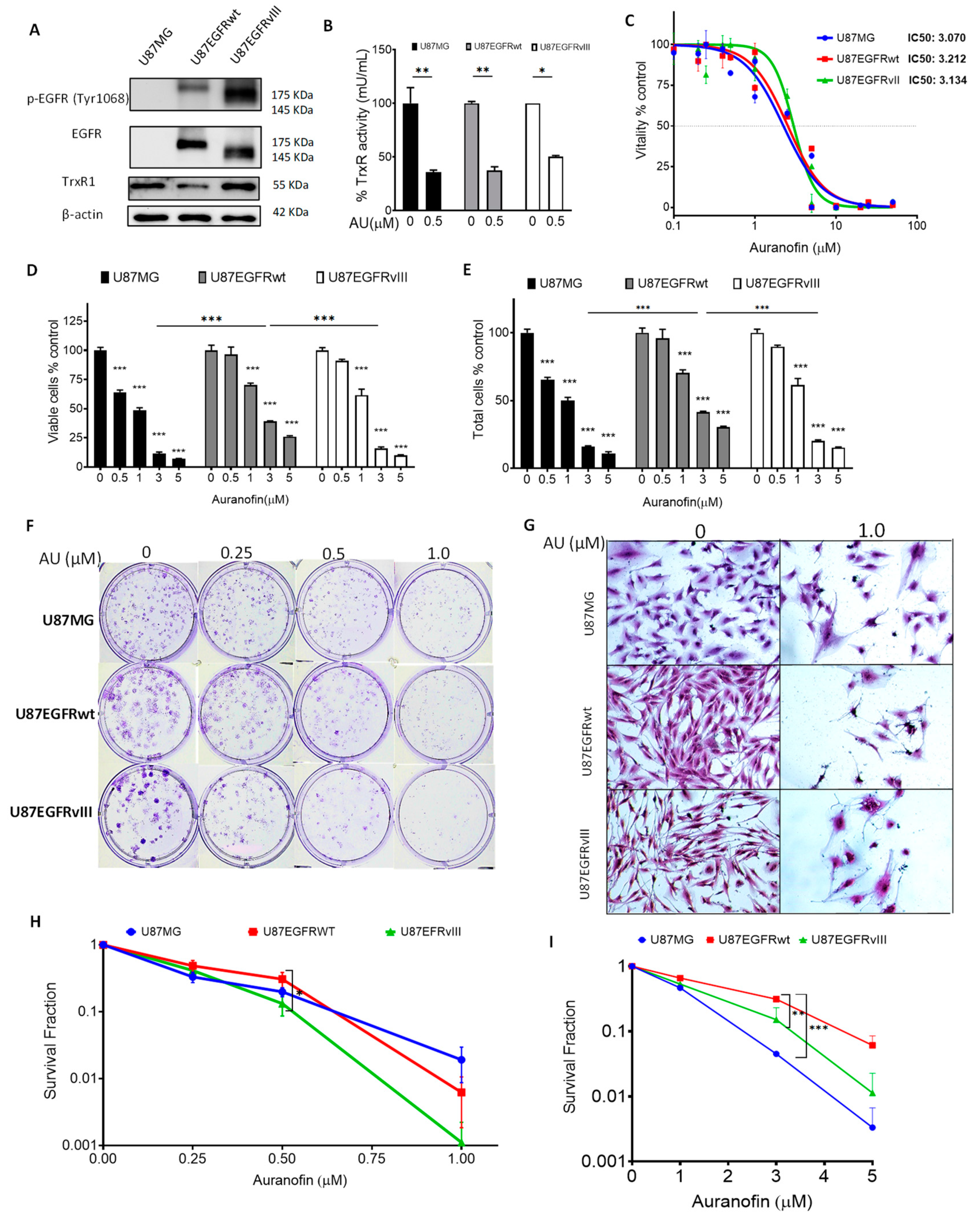Cancers 16 02319 g001