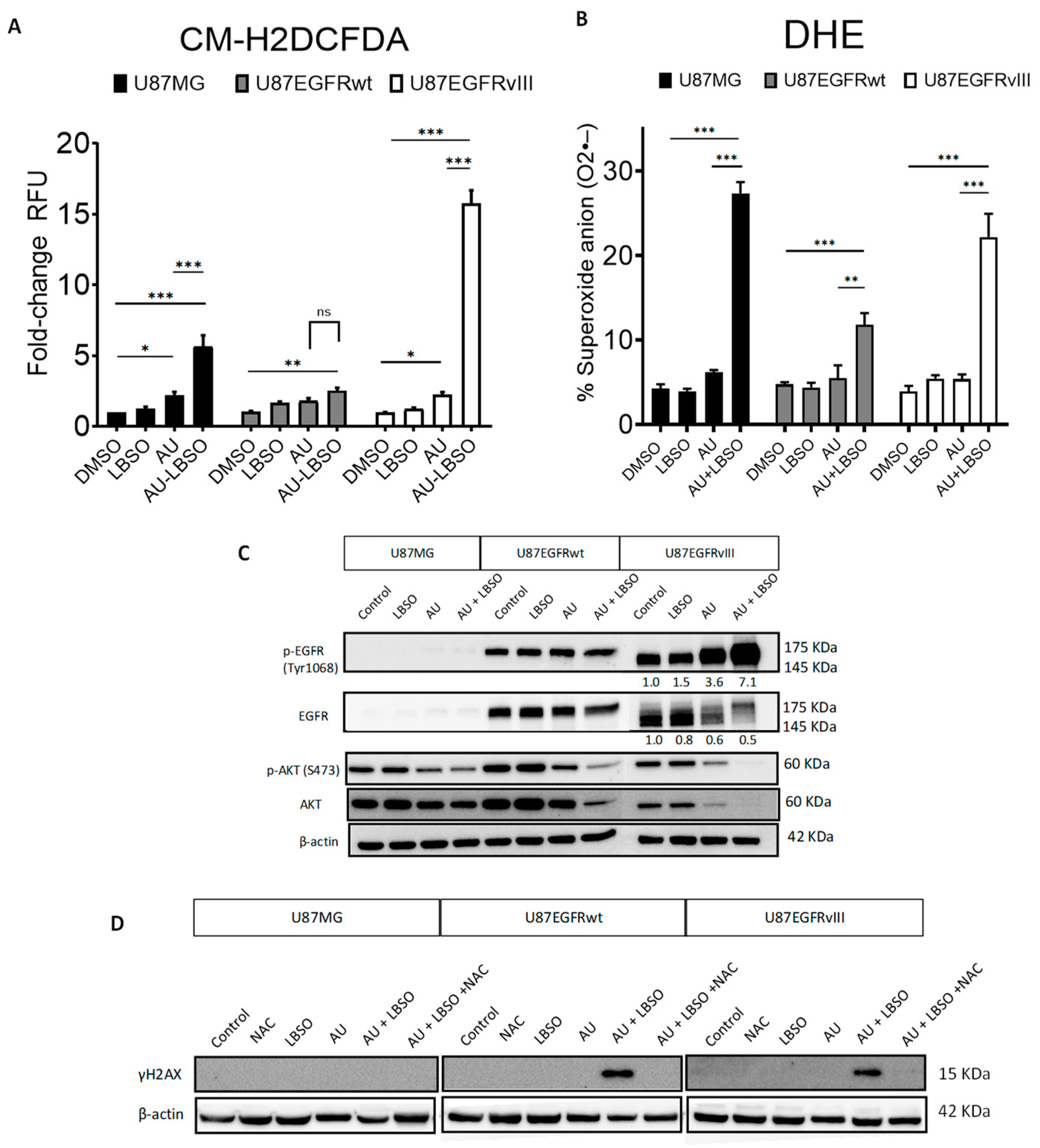 Cancers 16 02319 g005