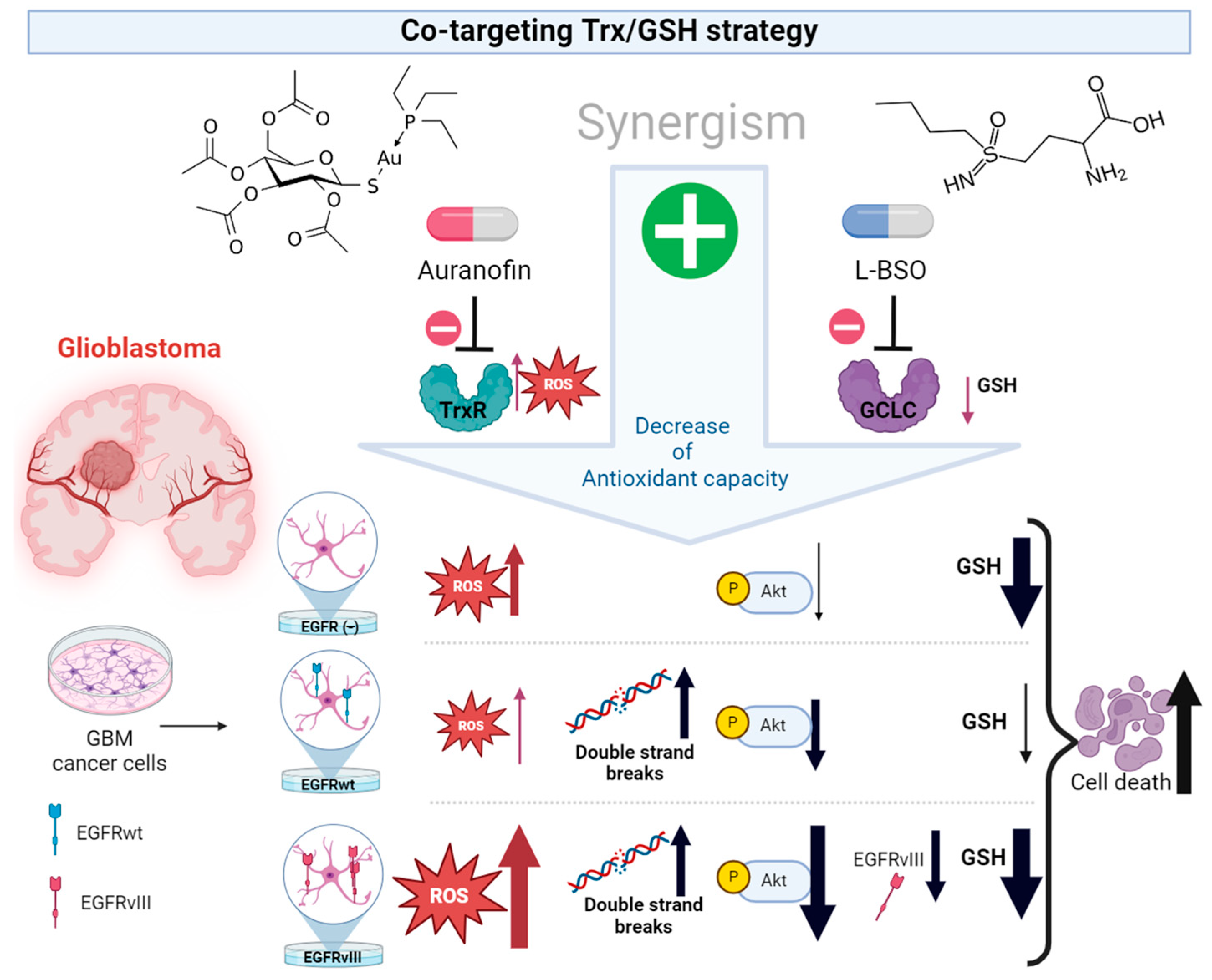 Cancers 16 02319 g006