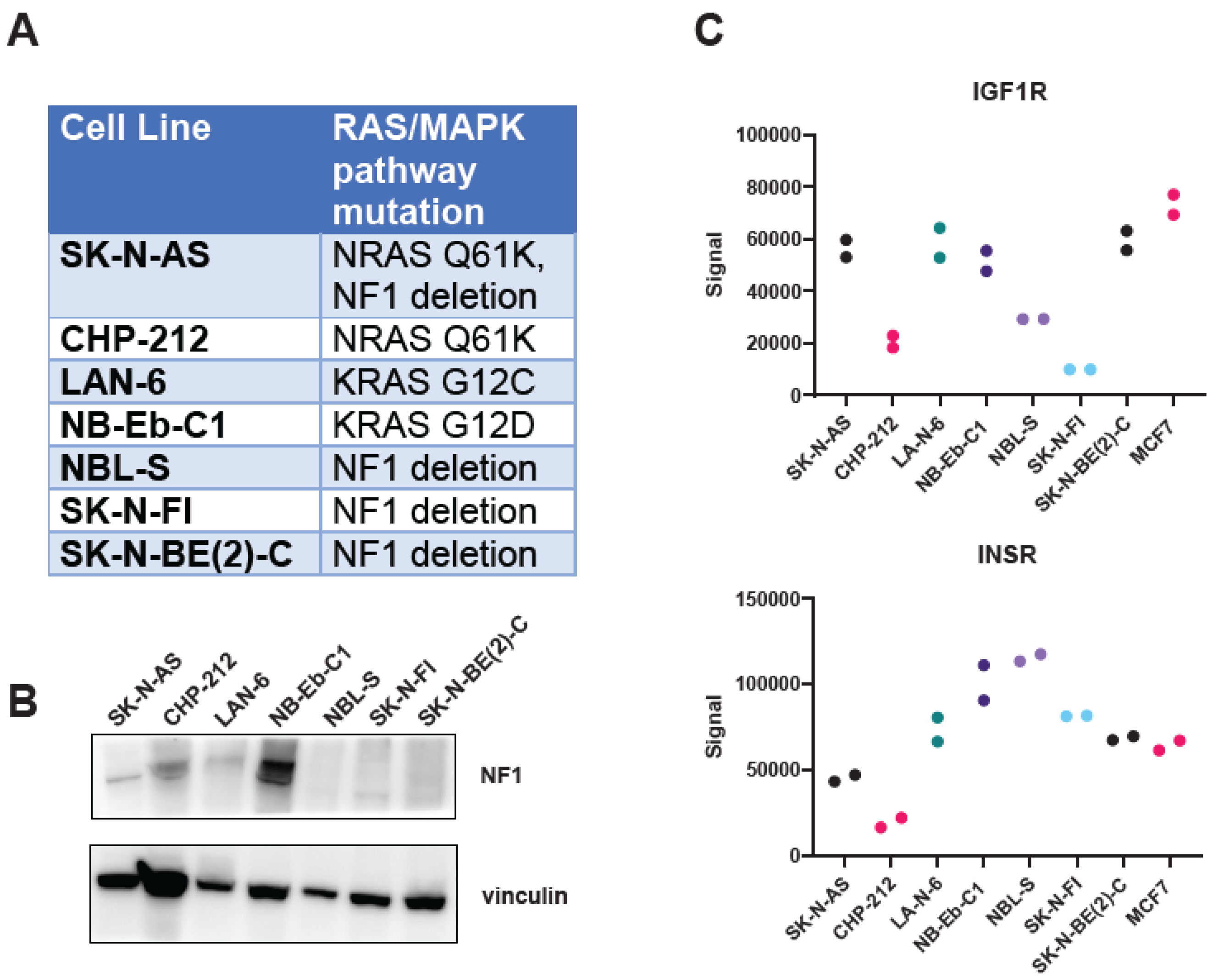 Cancers 16 02320 g001 Cancers 16 02320 g001