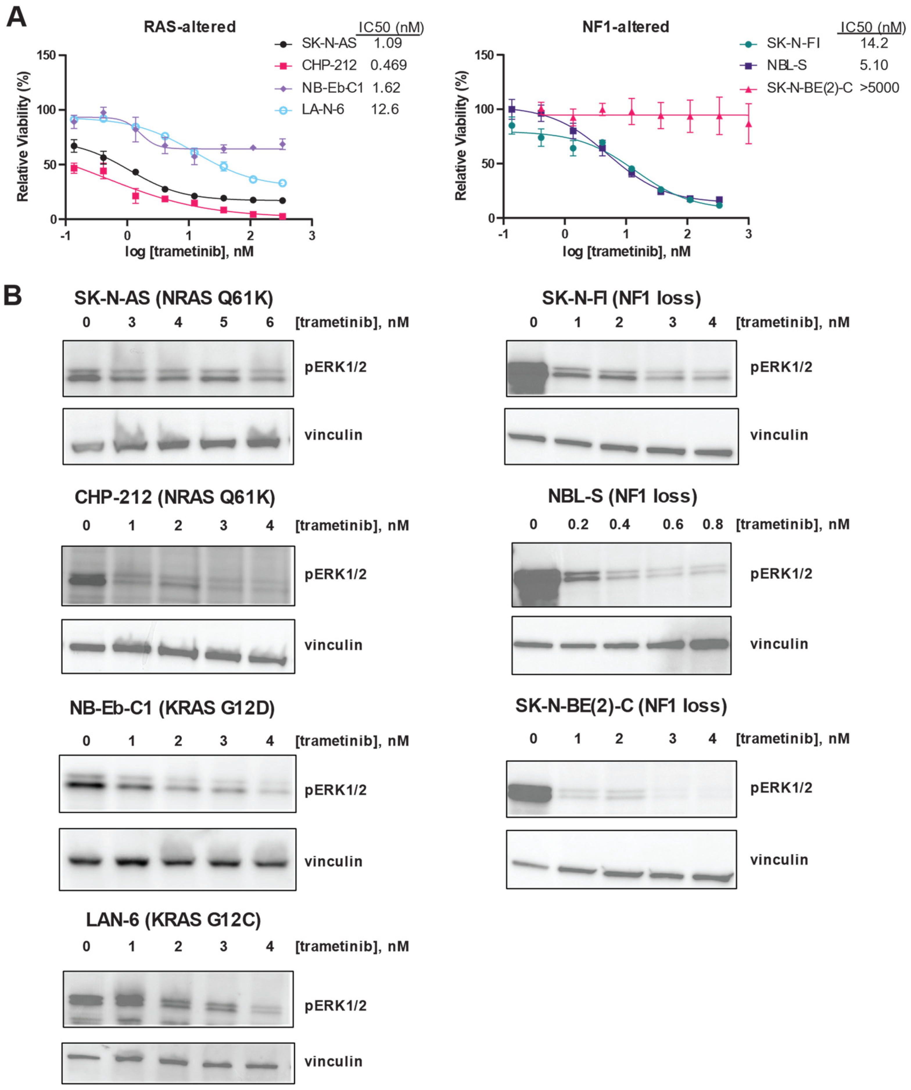 Cancers 16 02320 g002 Cancers 16 02320 g002