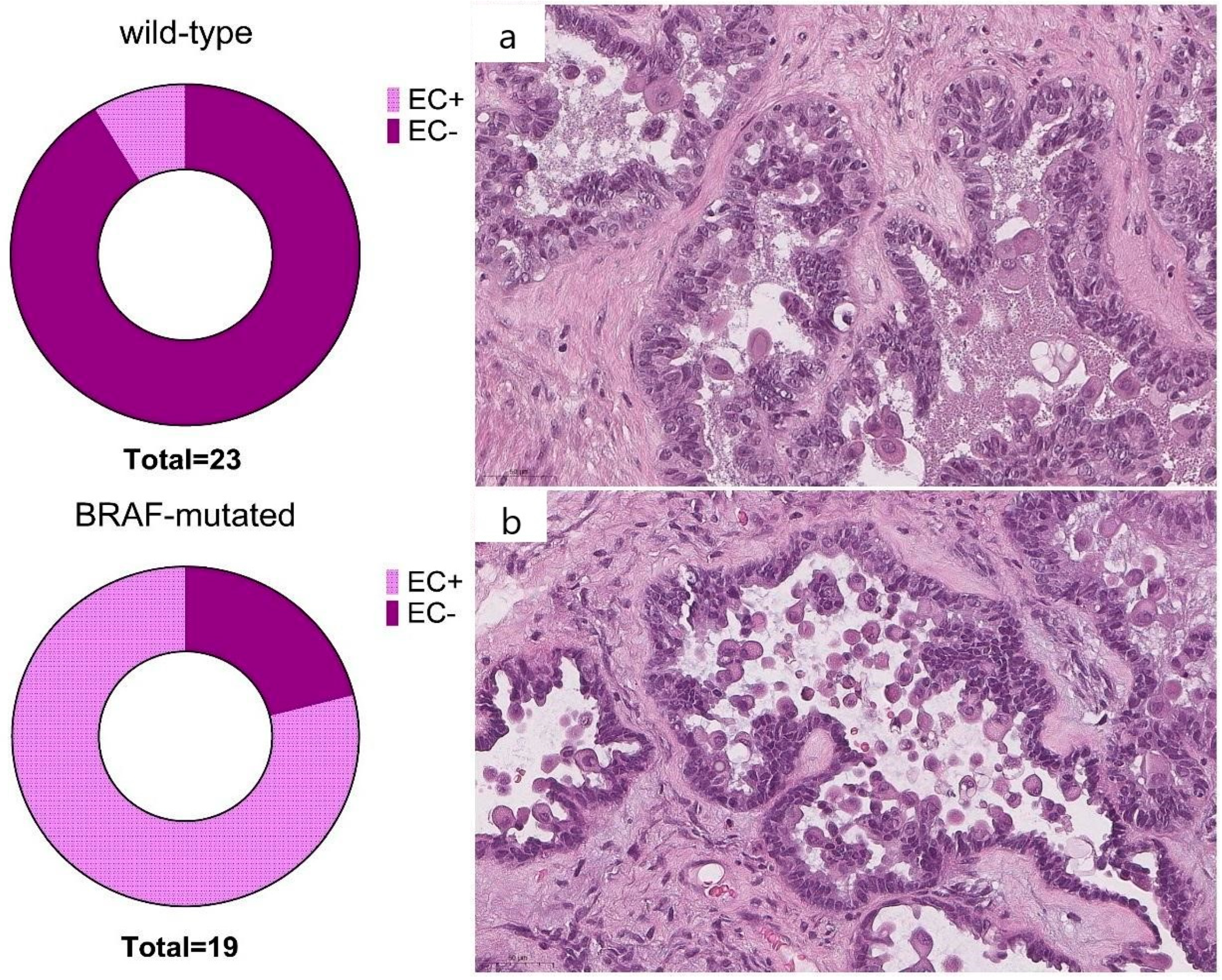 Cancers 16 02322 g003