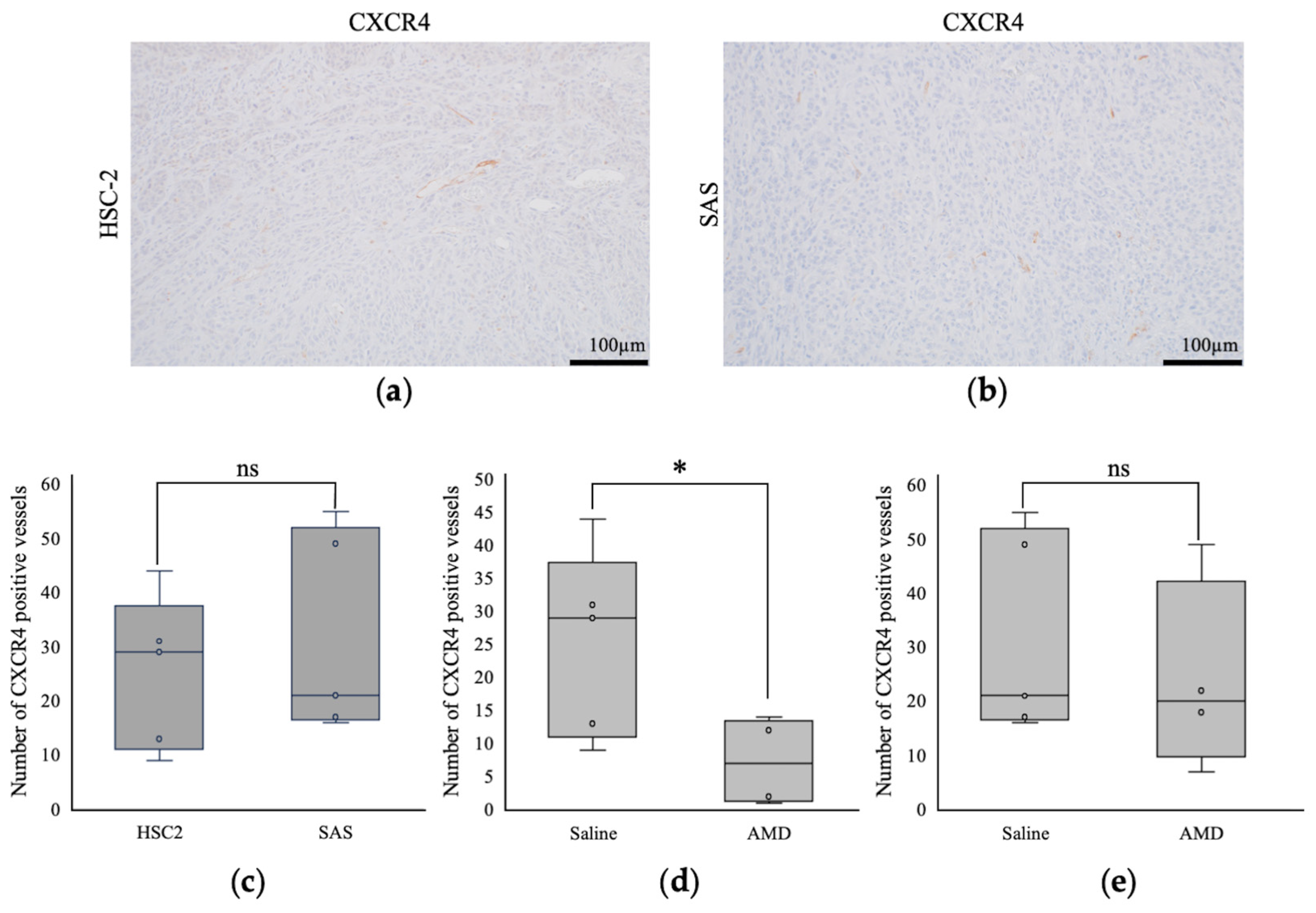 Cancers 16 02326 g005