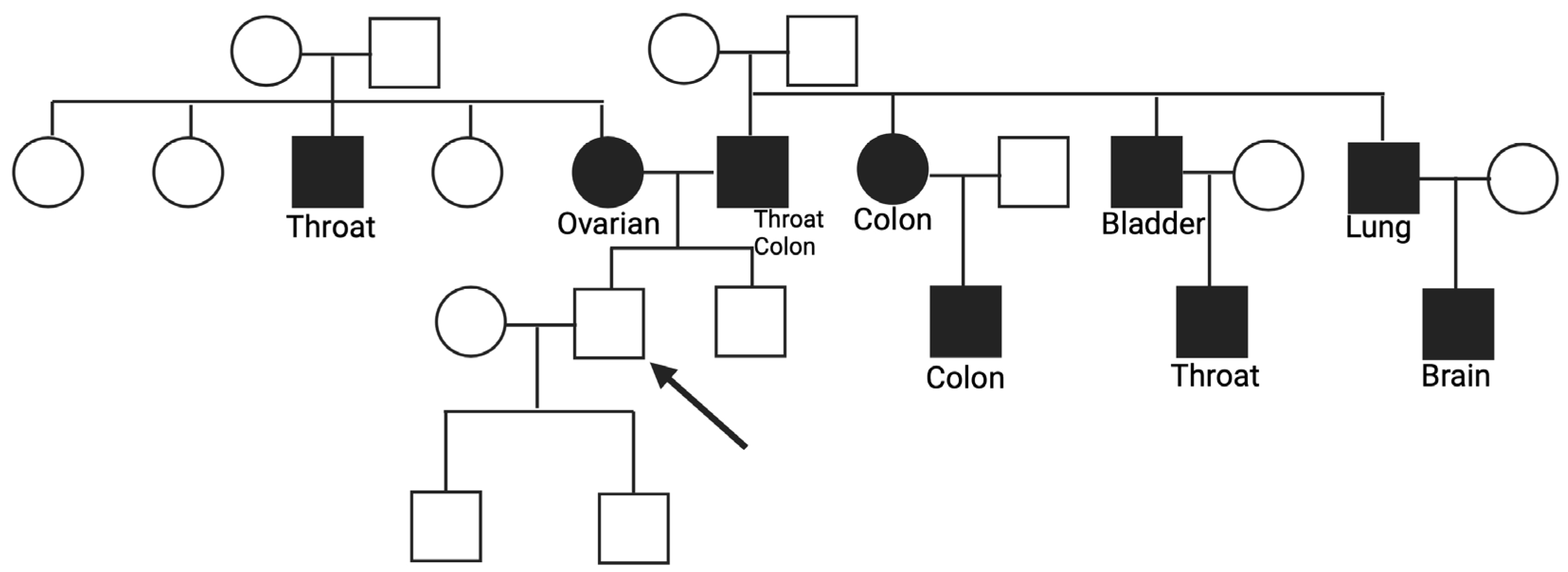 Cancers 16 02327 g003