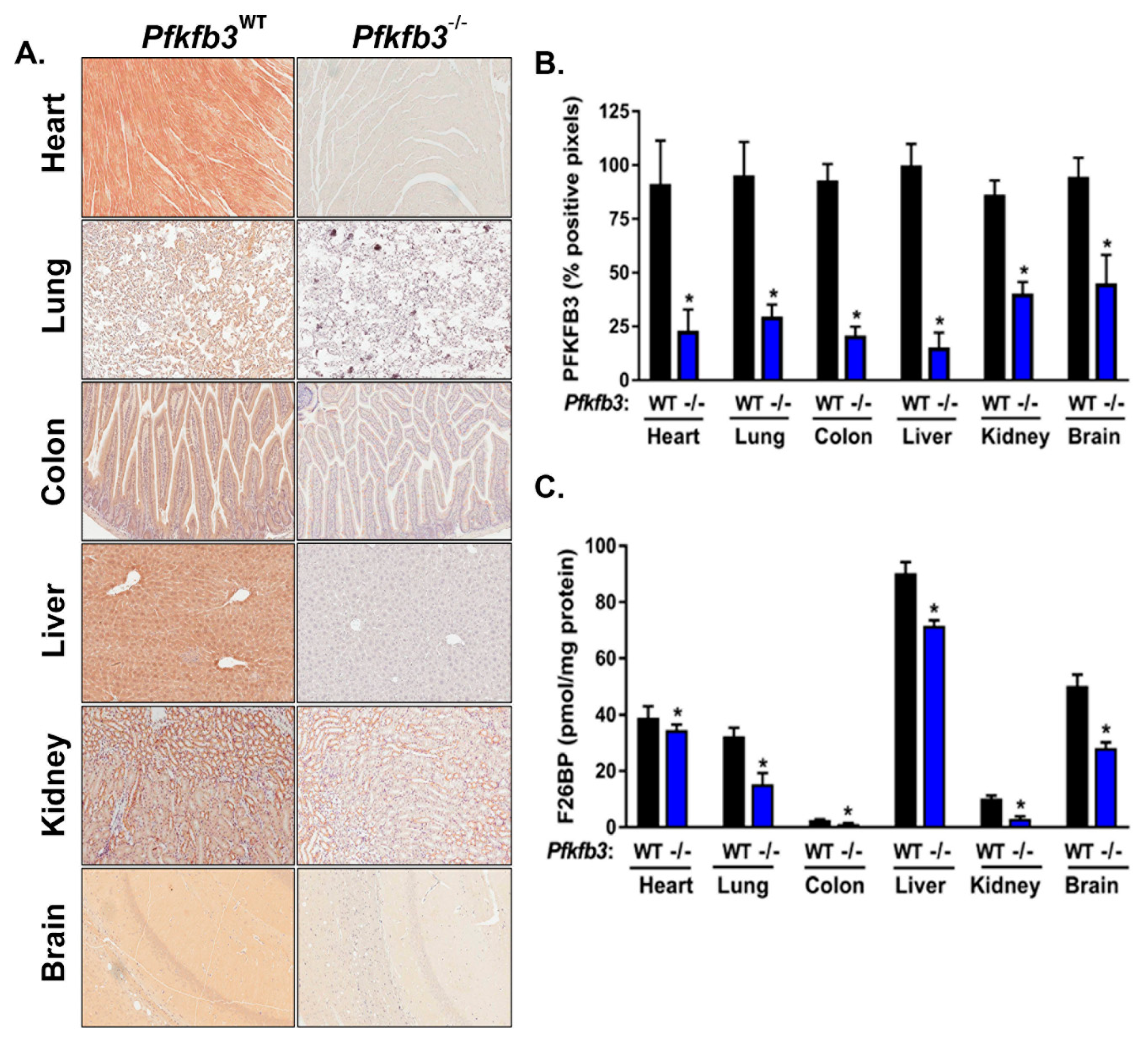 Cancers 16 02330 g003 Cancers 16 02330 g003