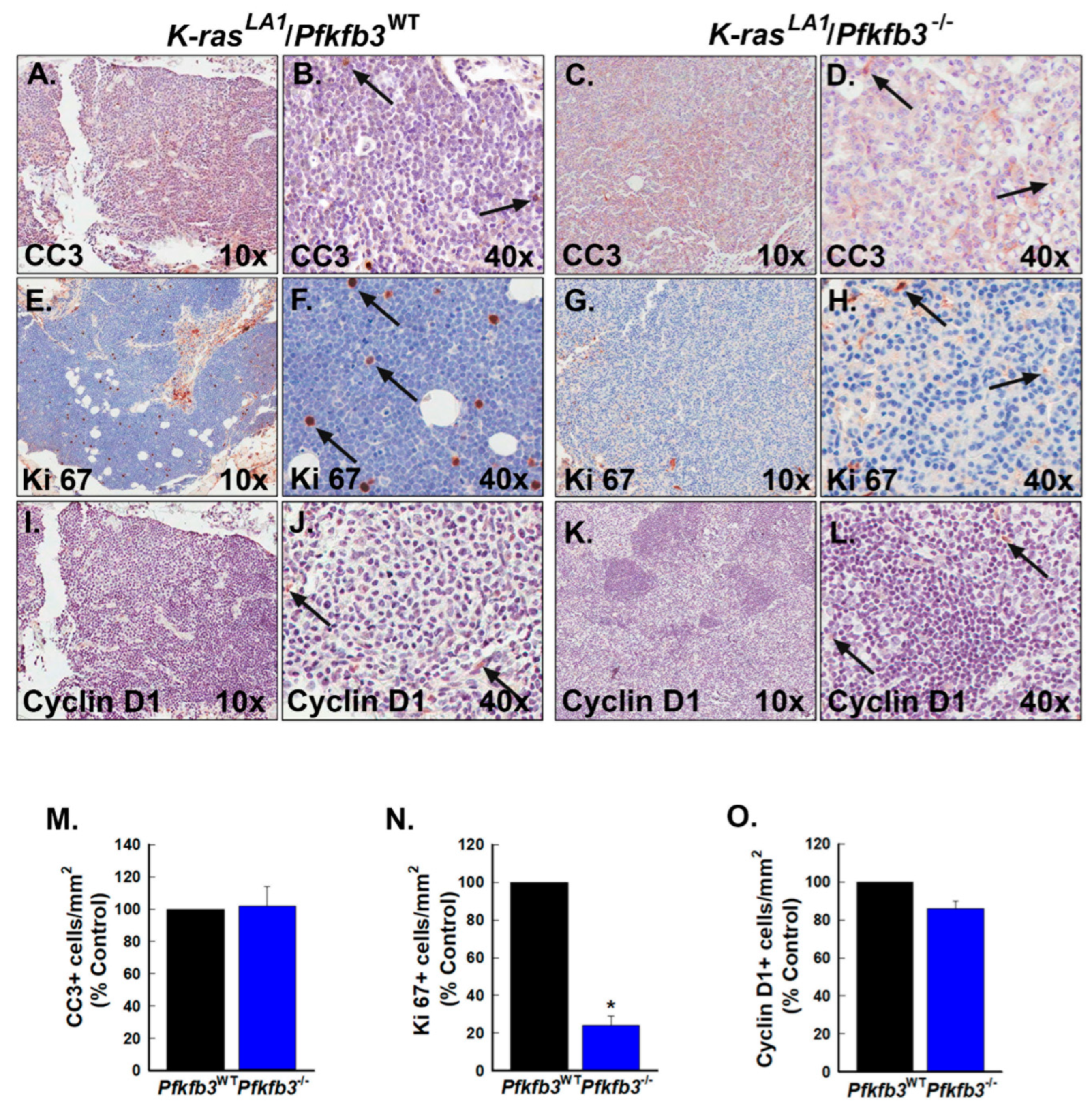 Cancers 16 02330 g007 Cancers 16 02330 g007