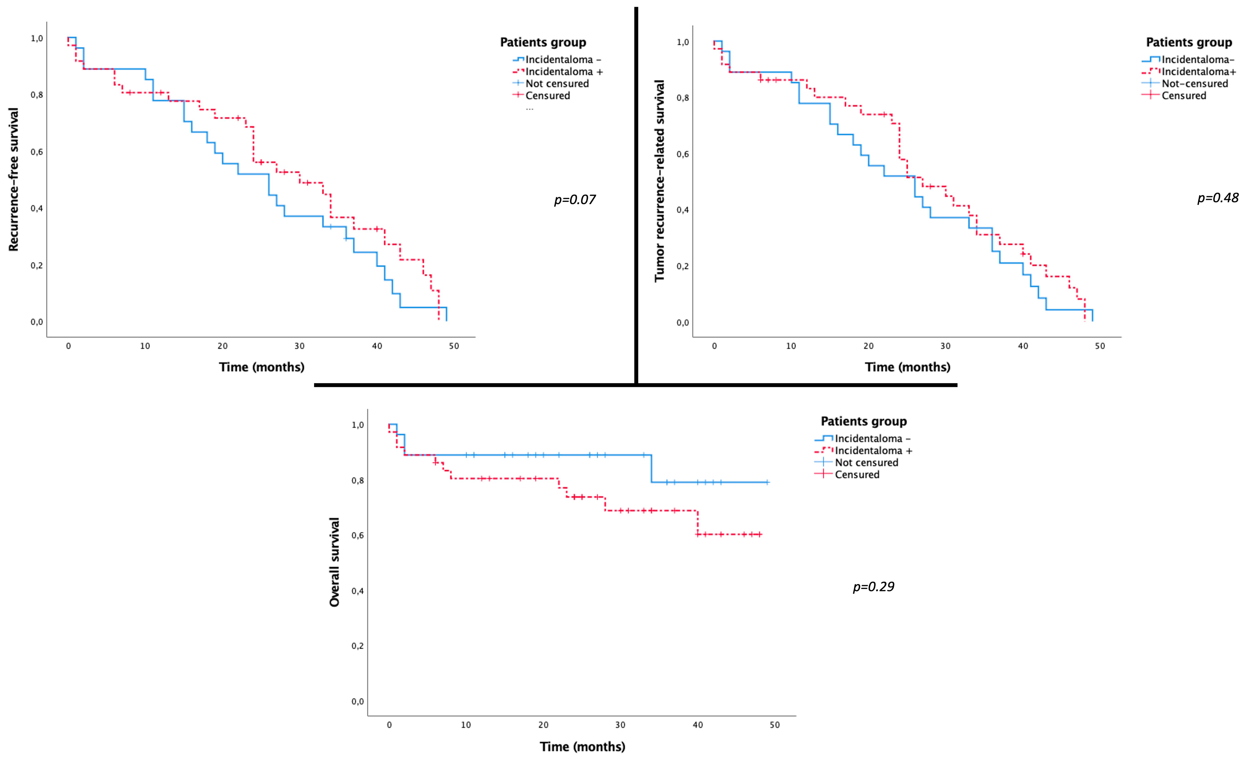 Cancers 16 02333 g004