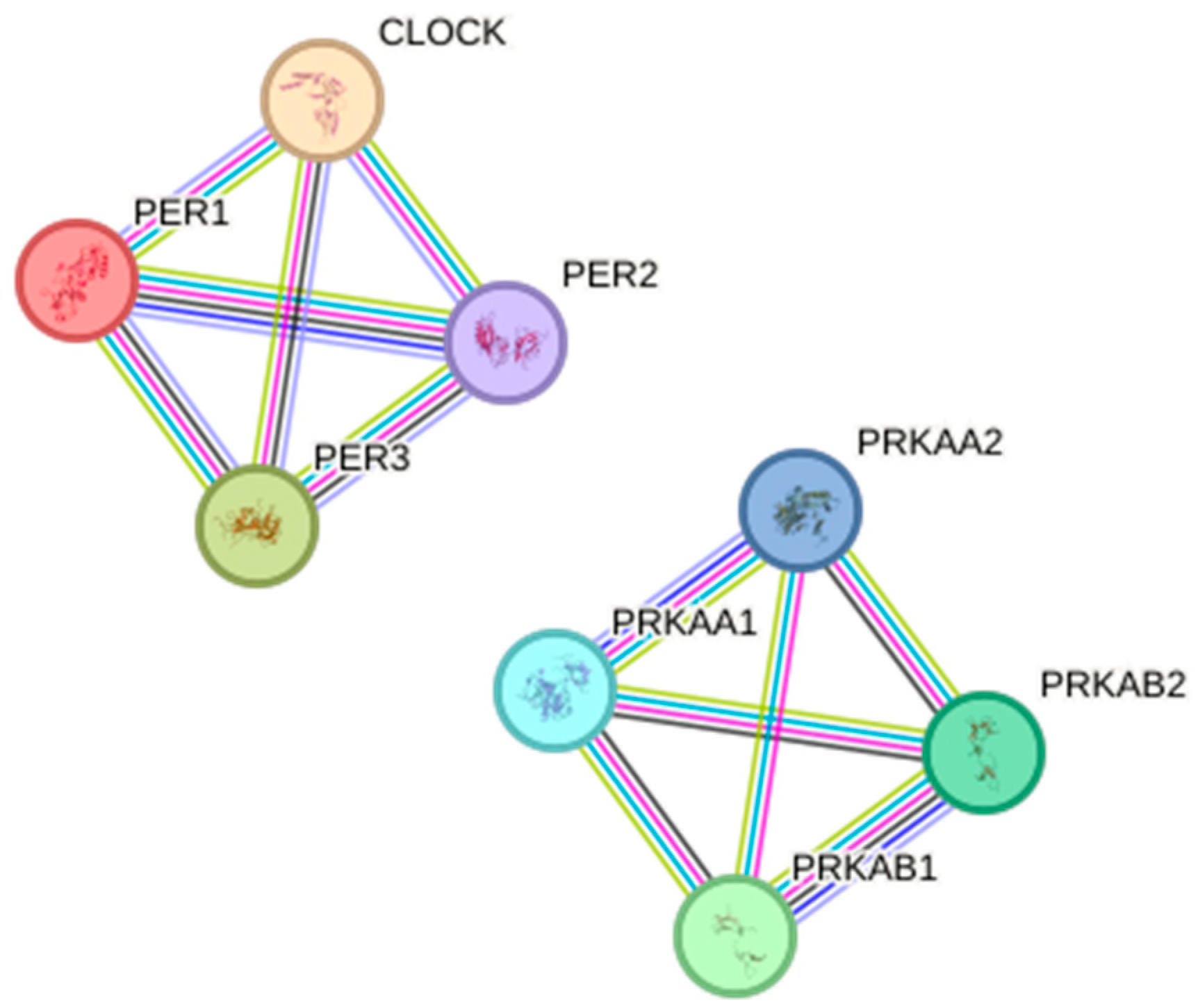 Cancers 16 02335 g005 Cancers 16 02335 g005