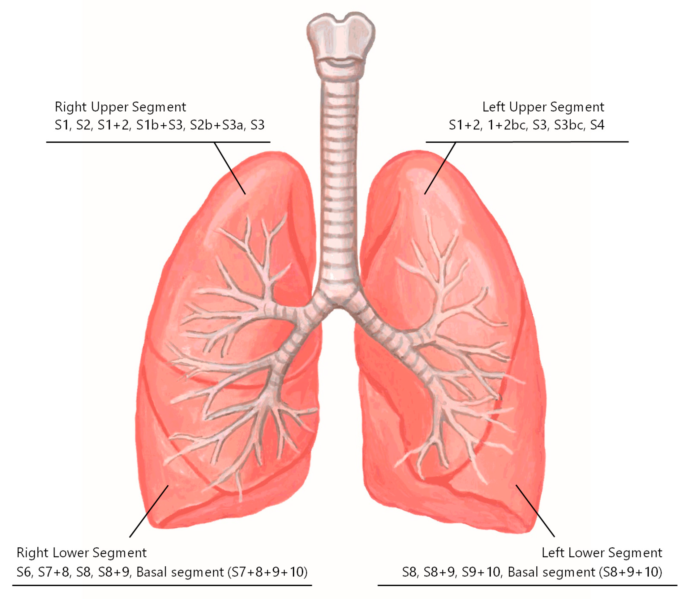 Cancers 16 02343 g007