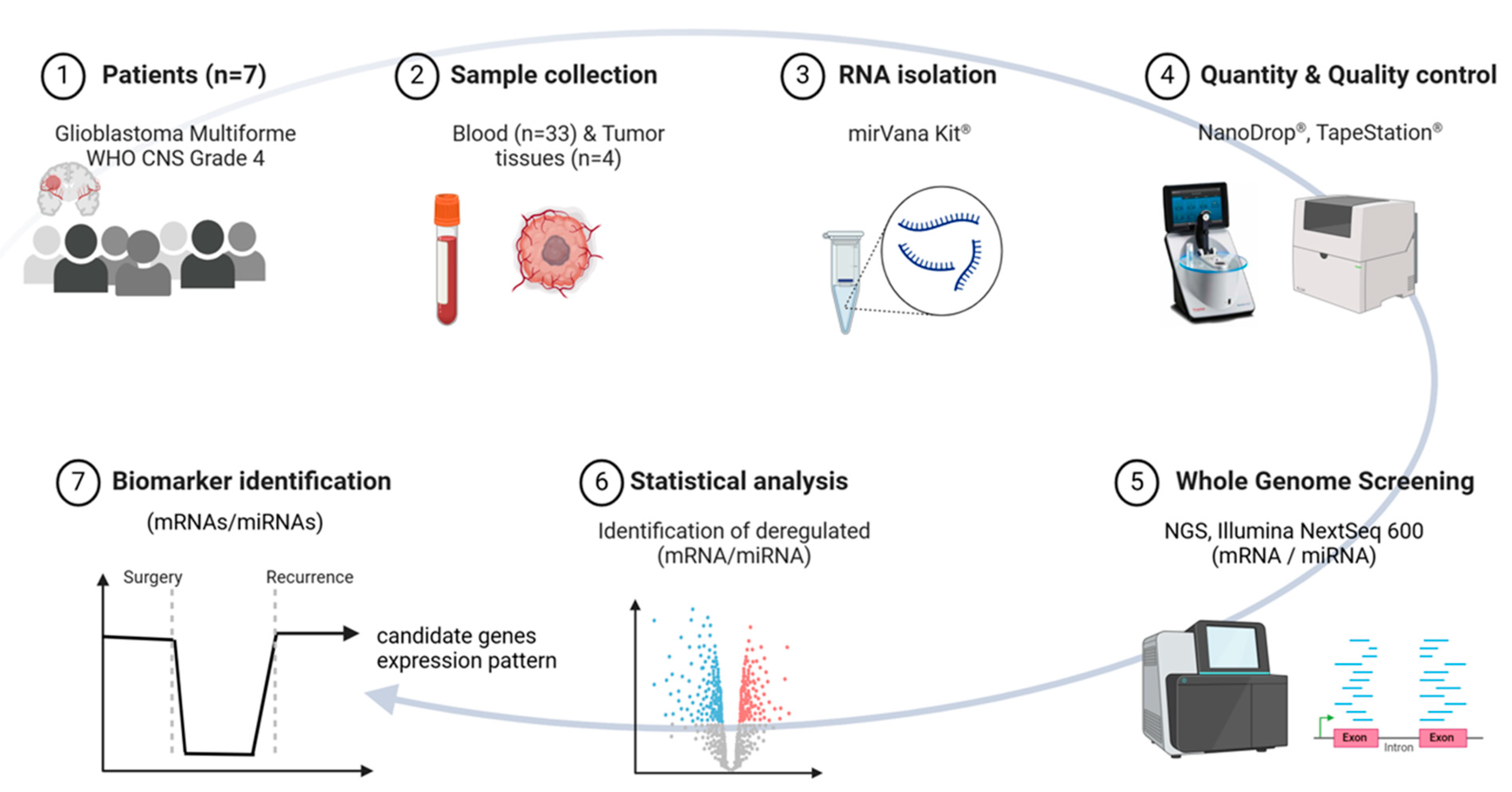 Cancers 16 02345 g001