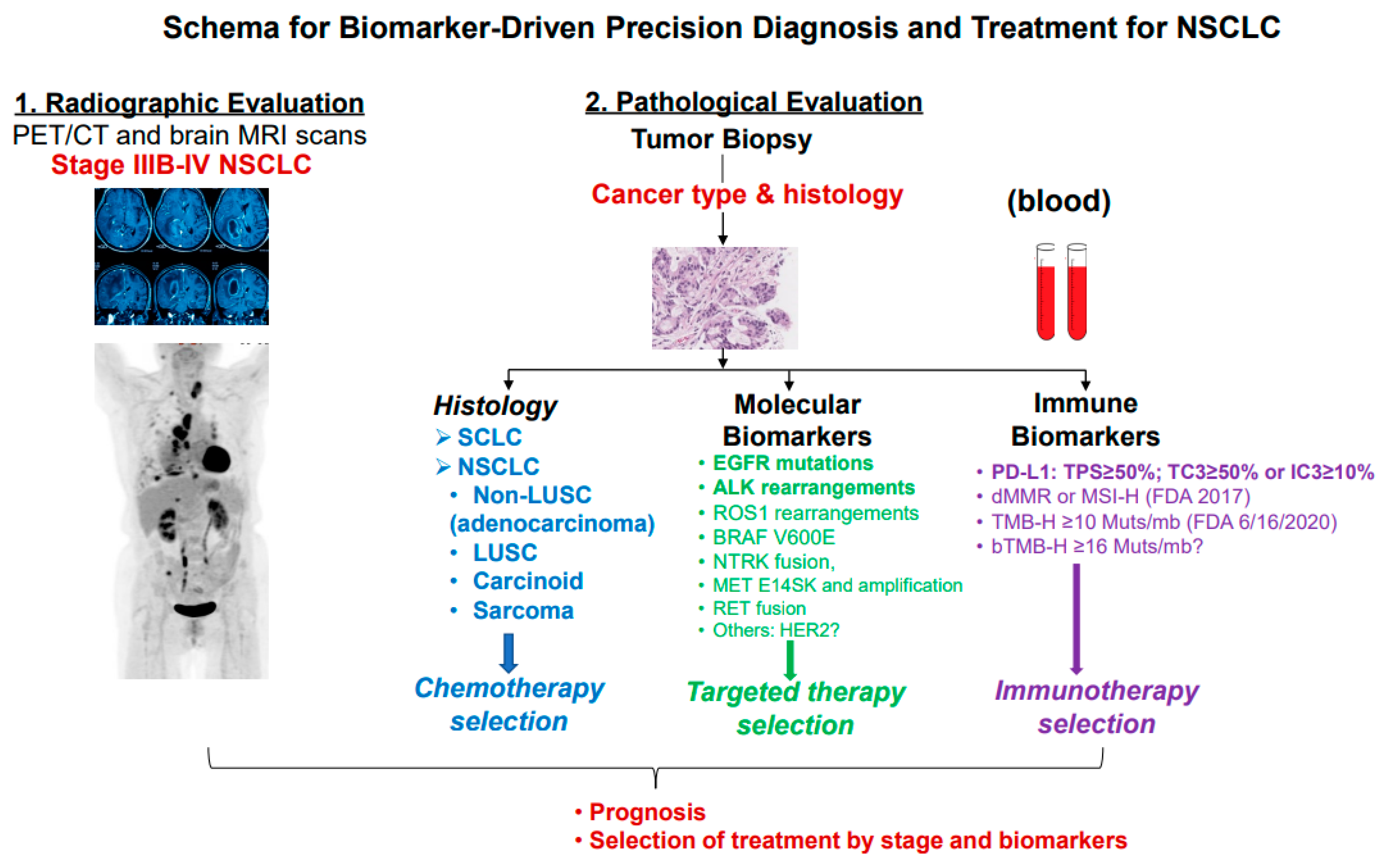 Cancers 16 02350 g002