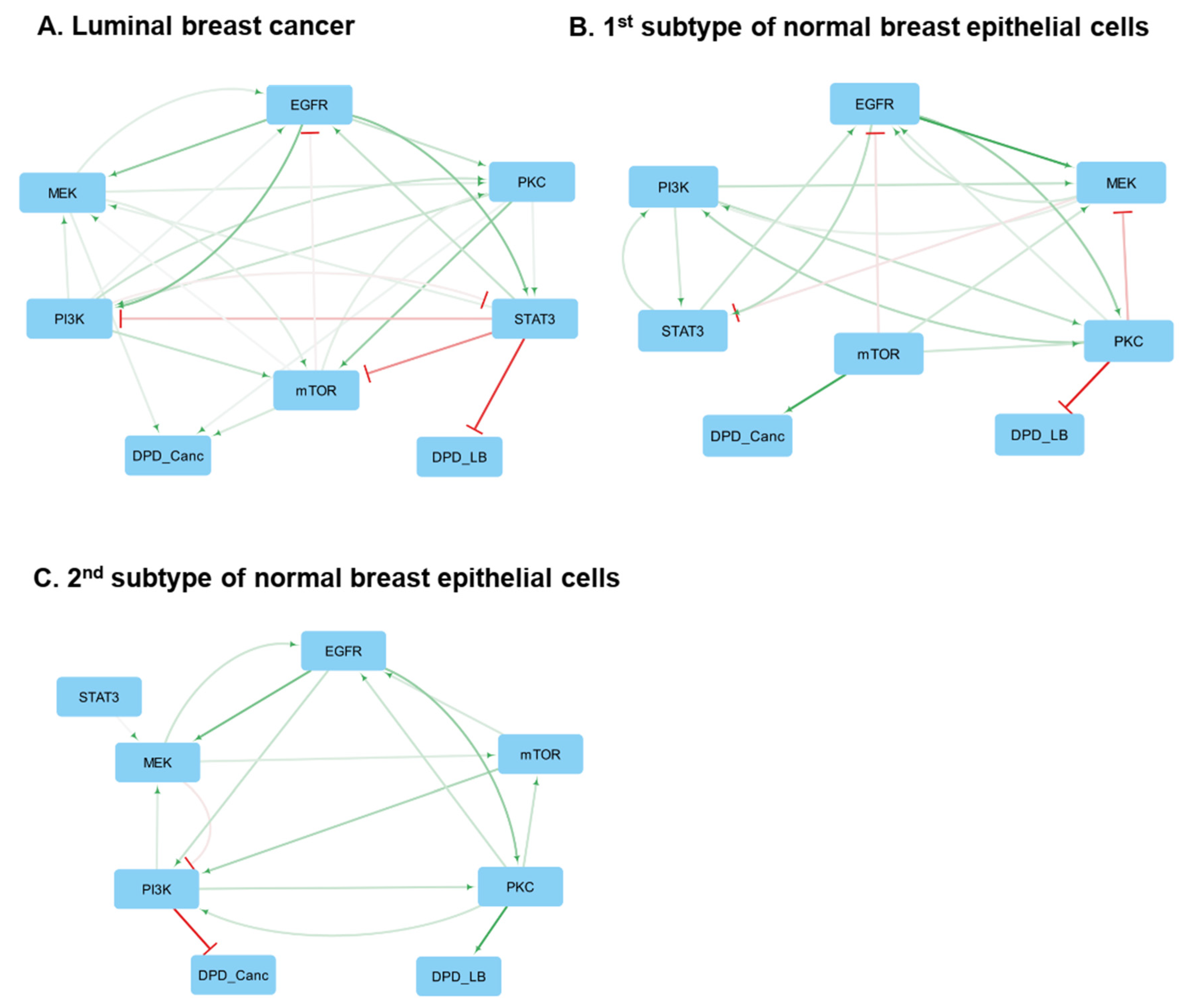 Cancers 16 02354 g002