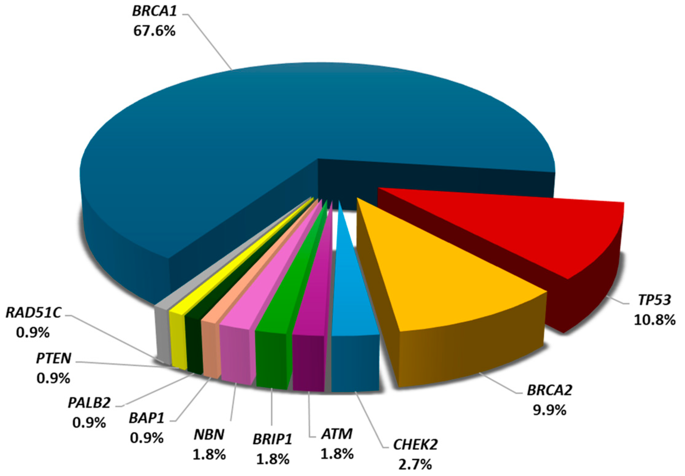 Cancers 16 02368 g001