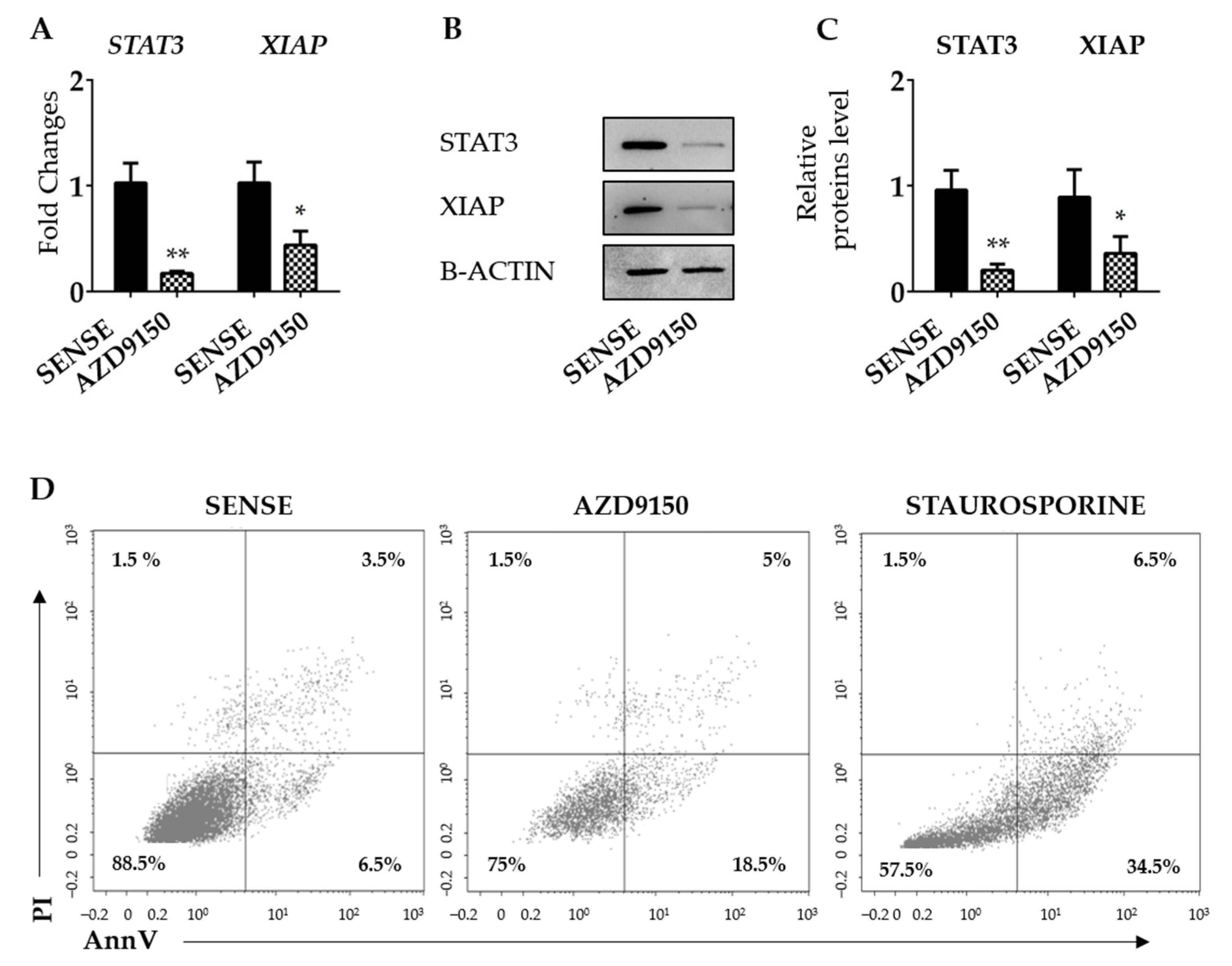 Cancers 16 02370 g003