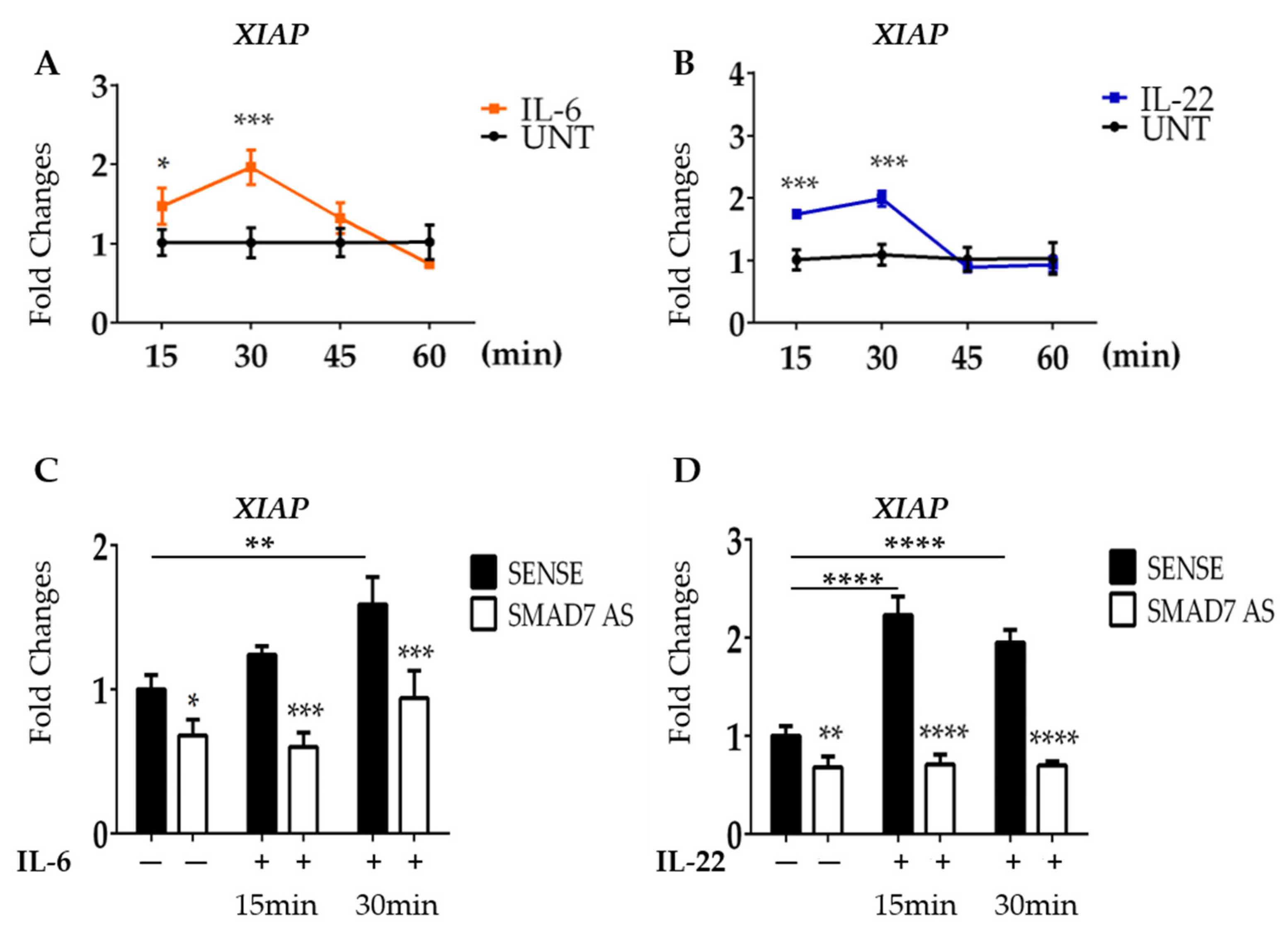 Cancers 16 02370 g004