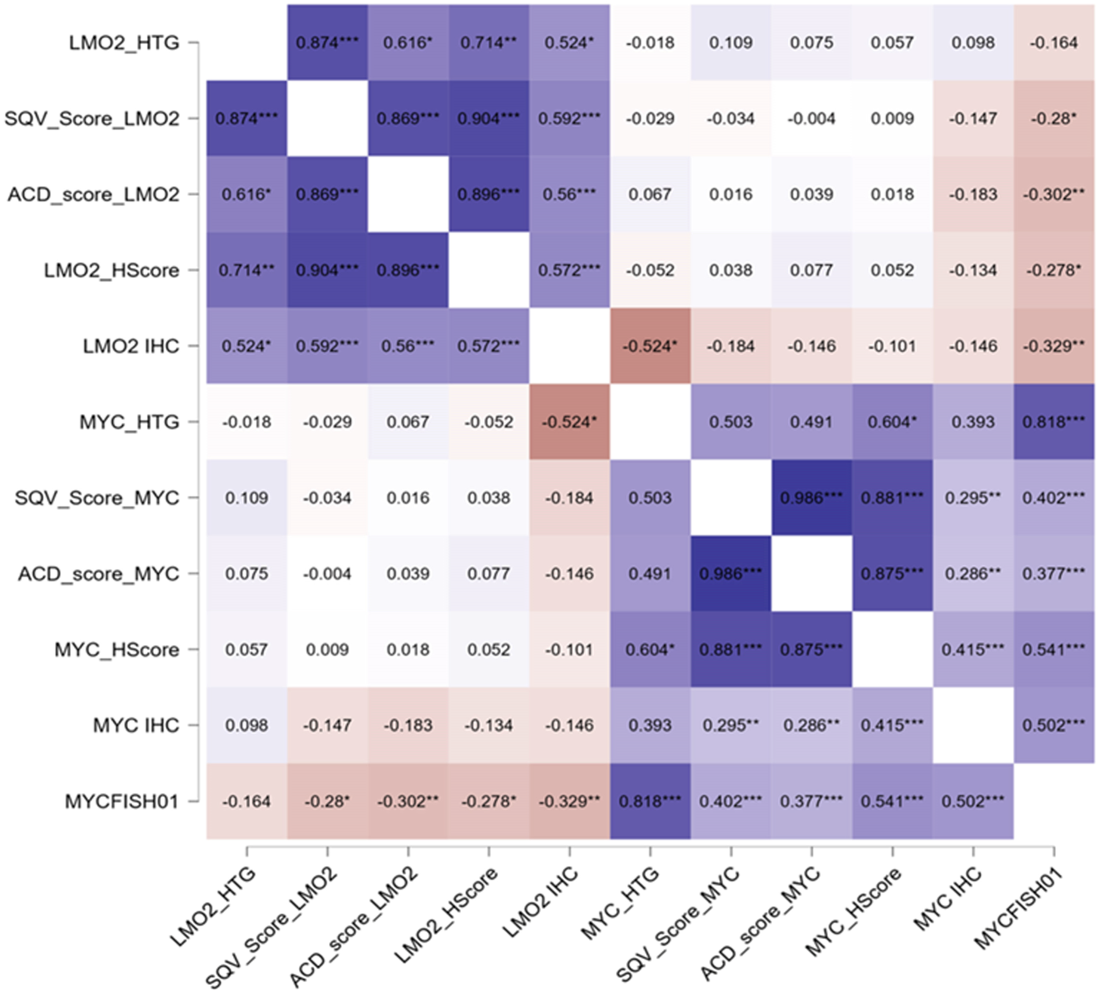 Cancers 16 02378 g002