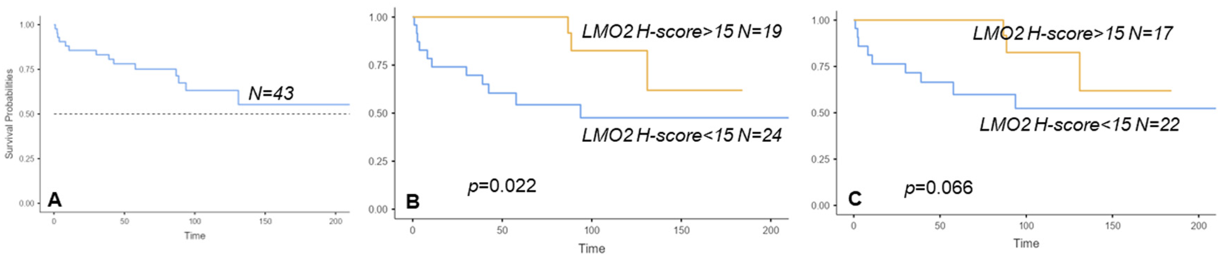 Cancers 16 02378 g004a