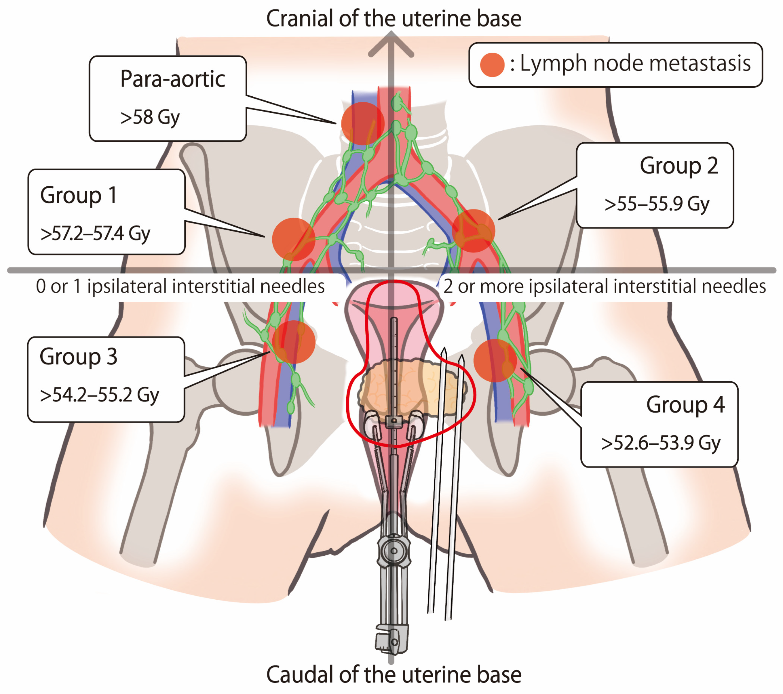 Cancers 16 02384 g002