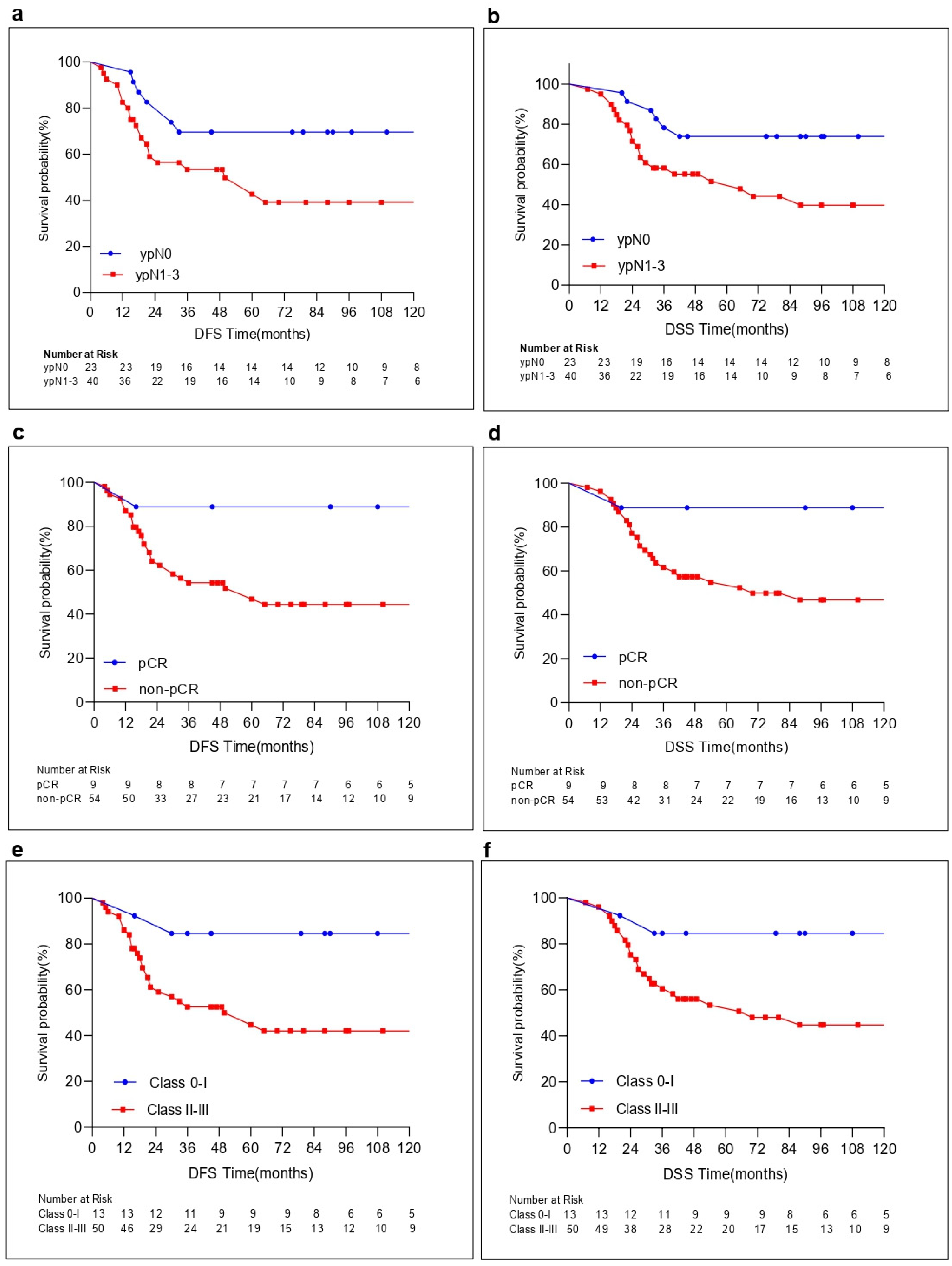 Cancers 16 02388 g003