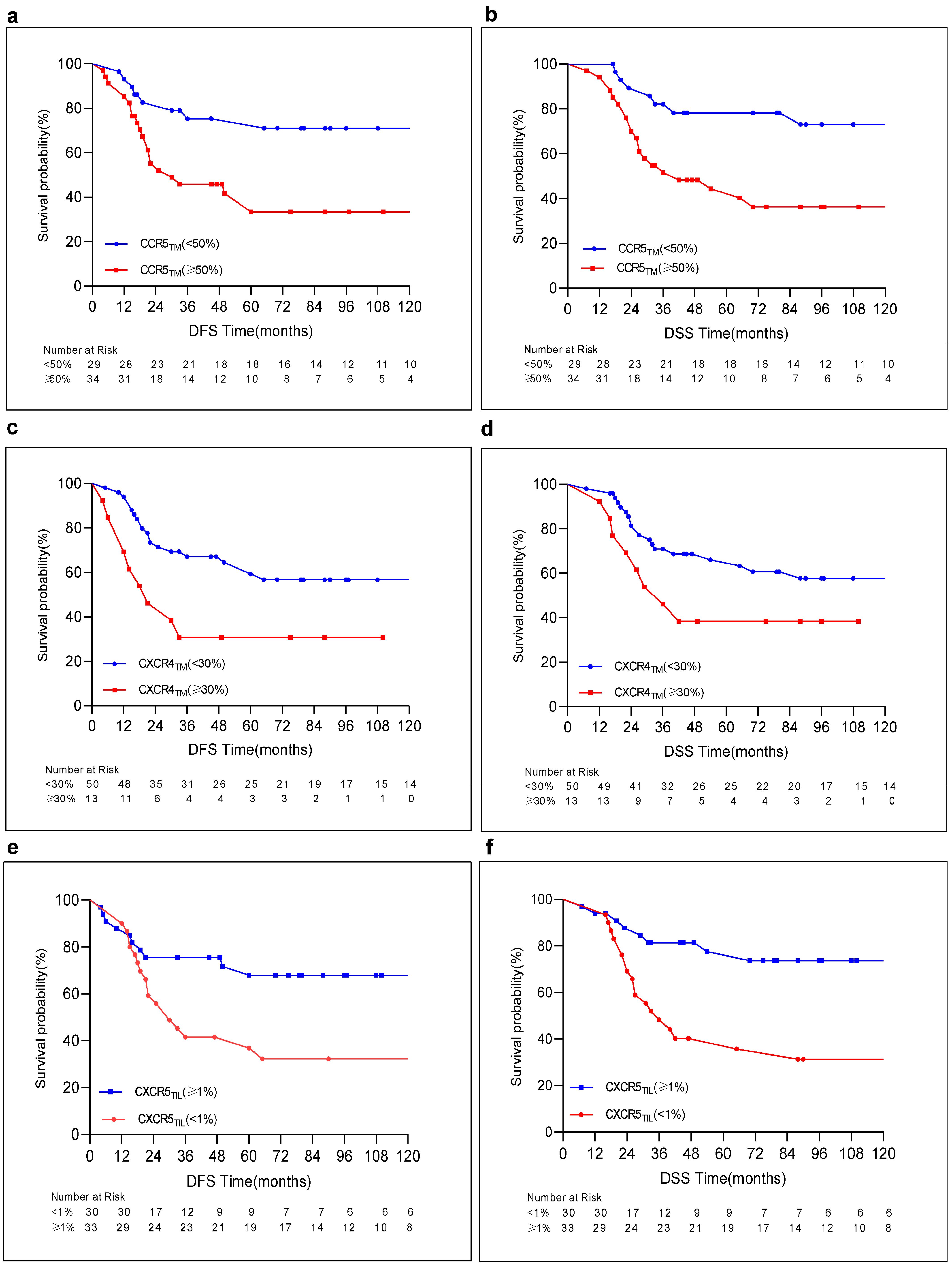 Cancers 16 02388 g004