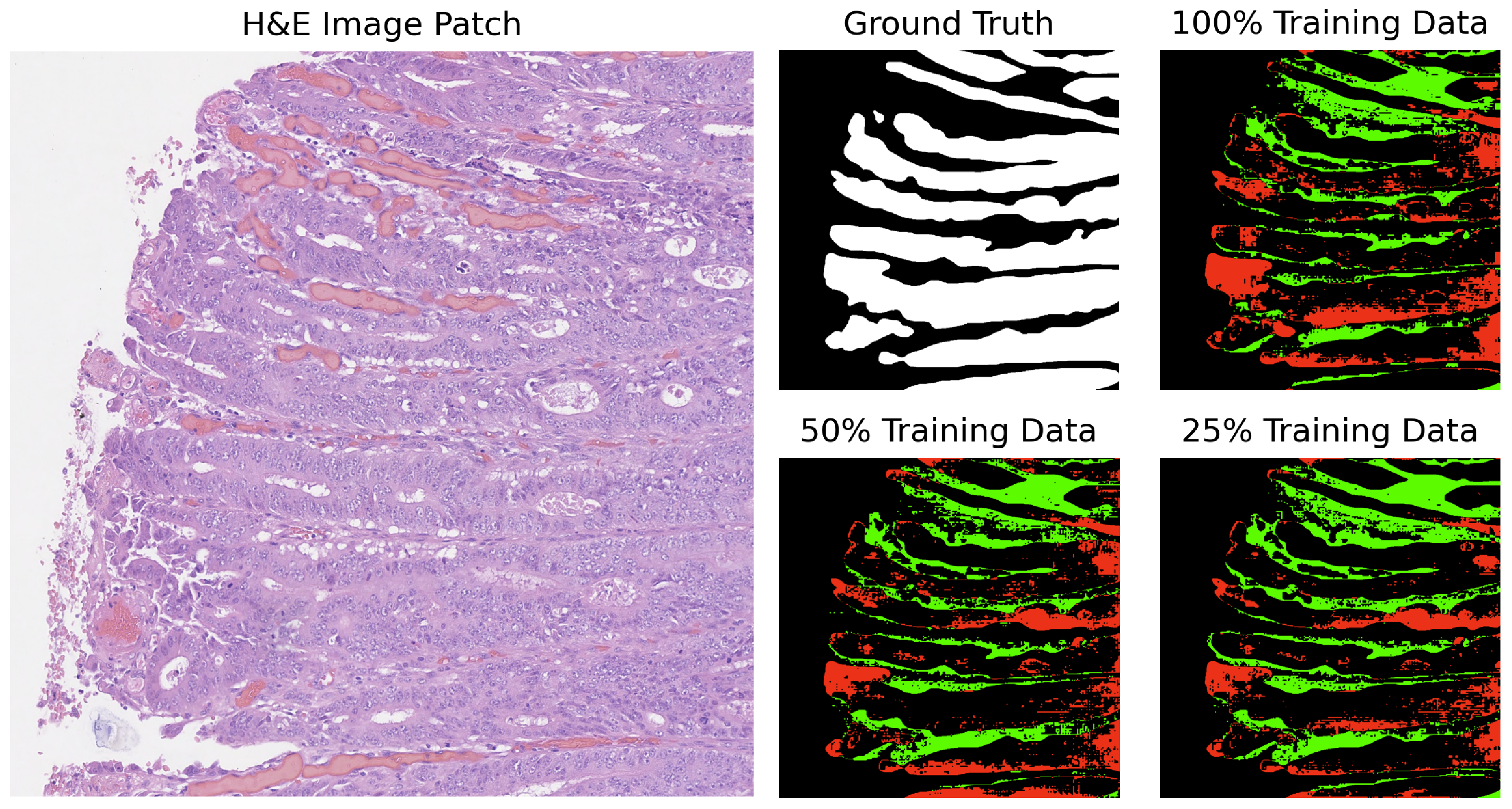 Cancers 16 02391 g004