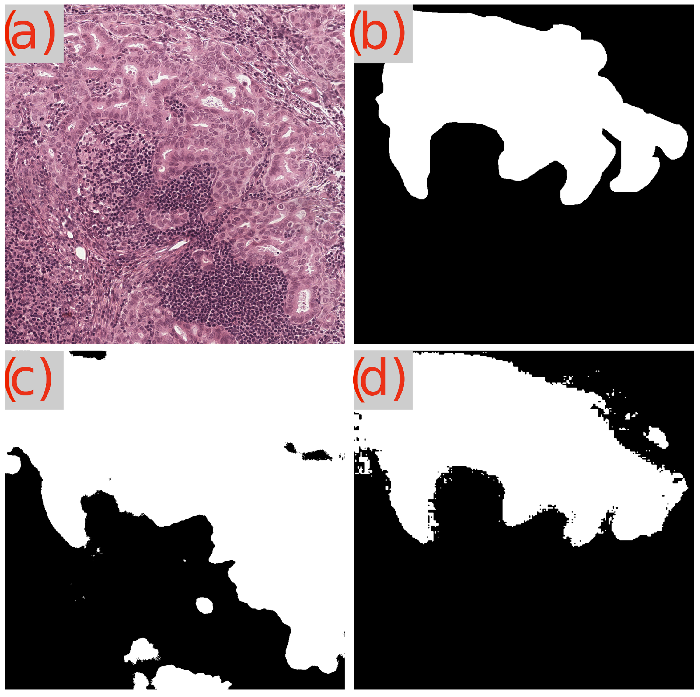 Cancers 16 02391 g010