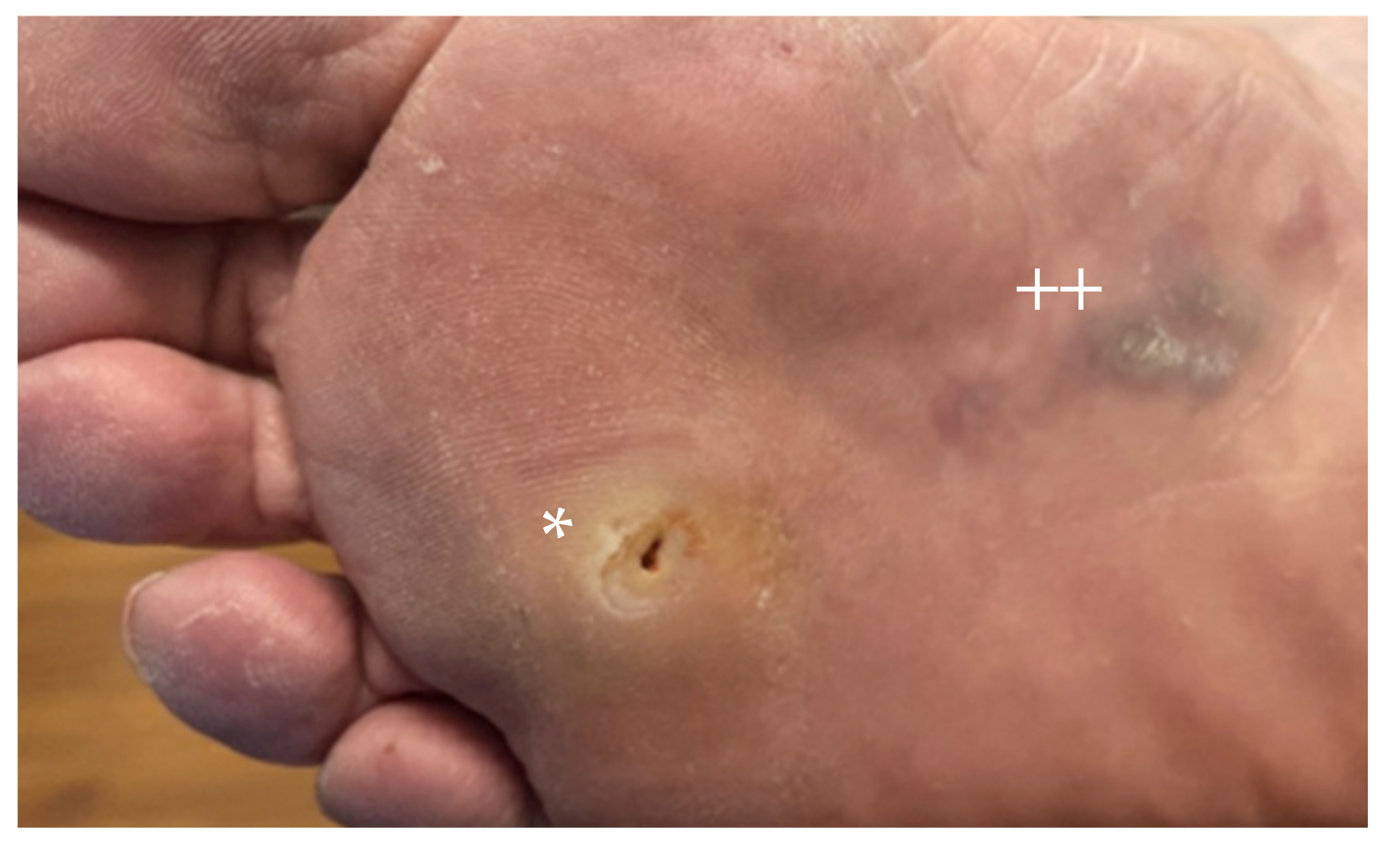 Cancers 16 02395 g001 Cancers 16 02395 g001