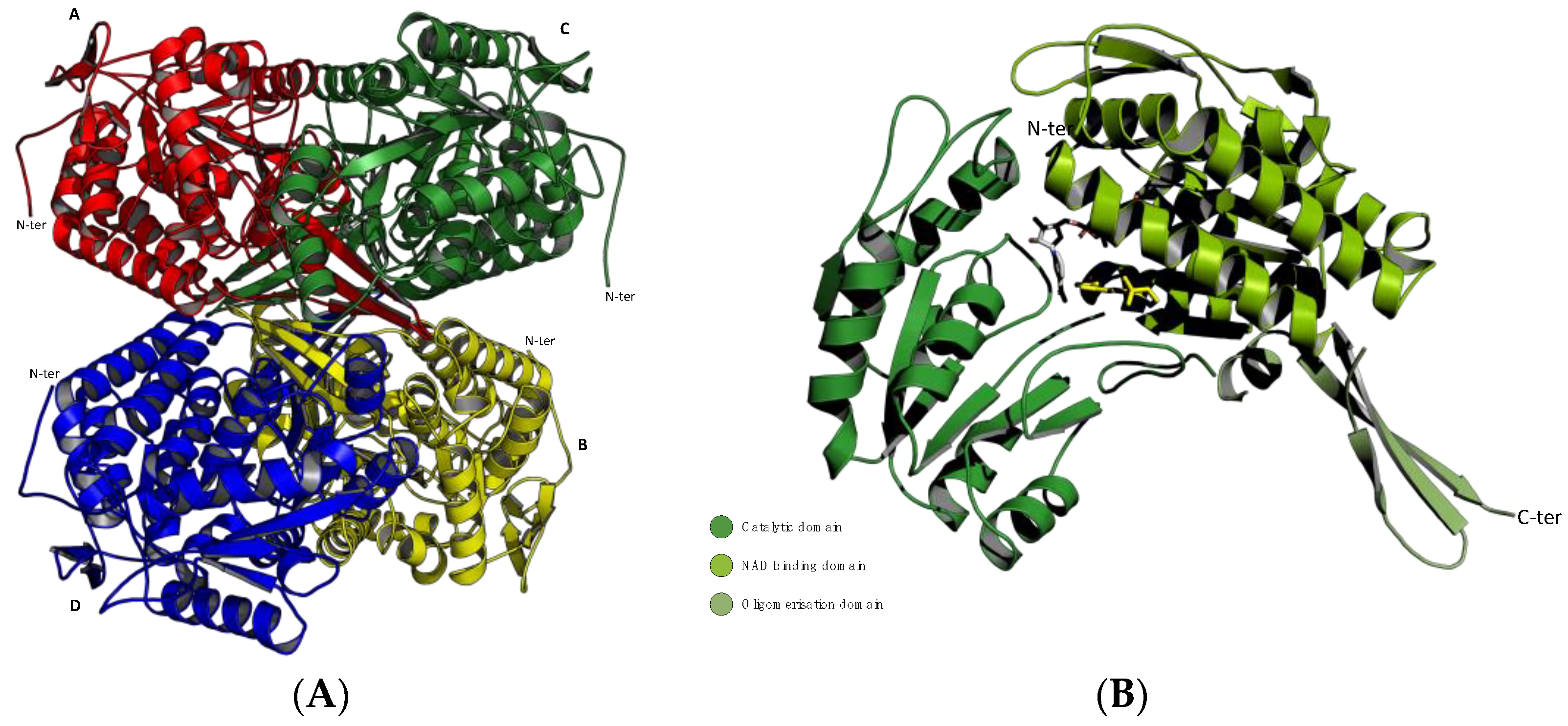 Cancers 16 02397 g001 Cancers 16 02397 g001