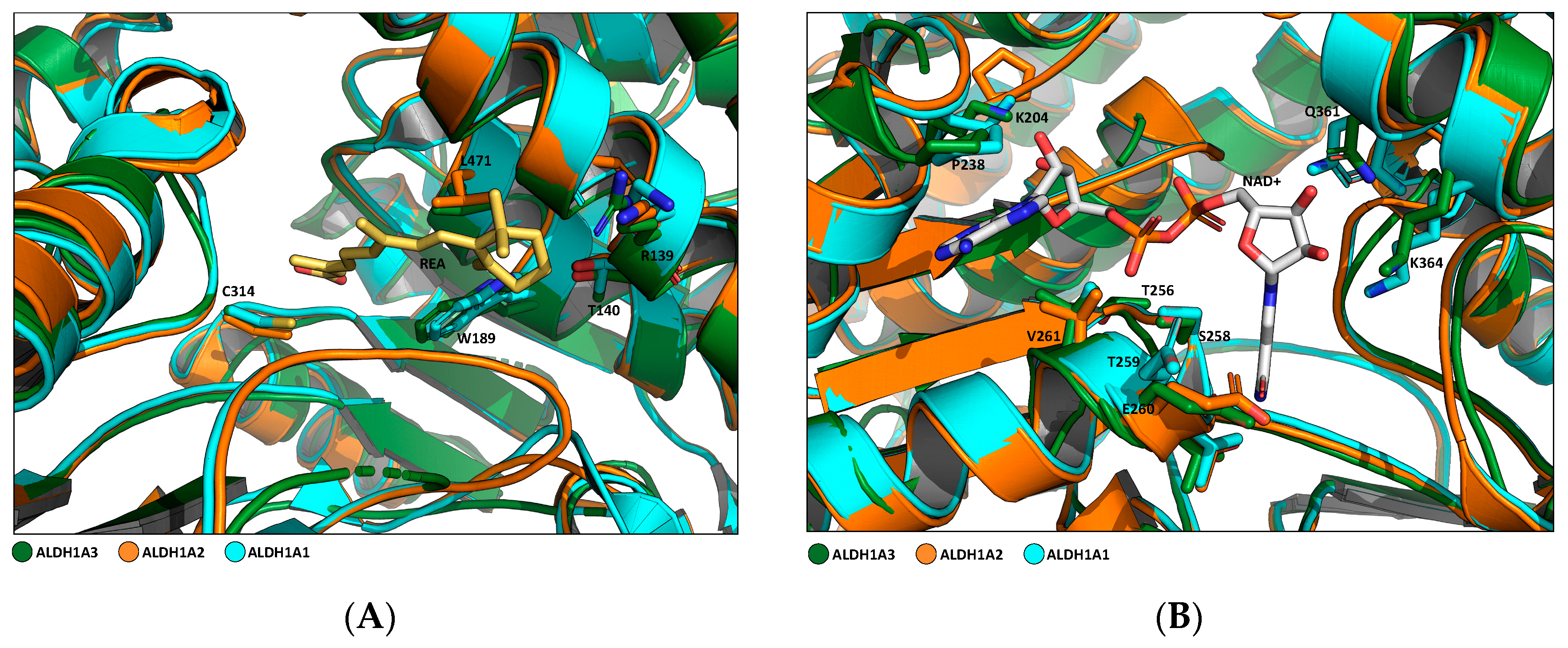 Cancers 16 02397 g003 Cancers 16 02397 g003