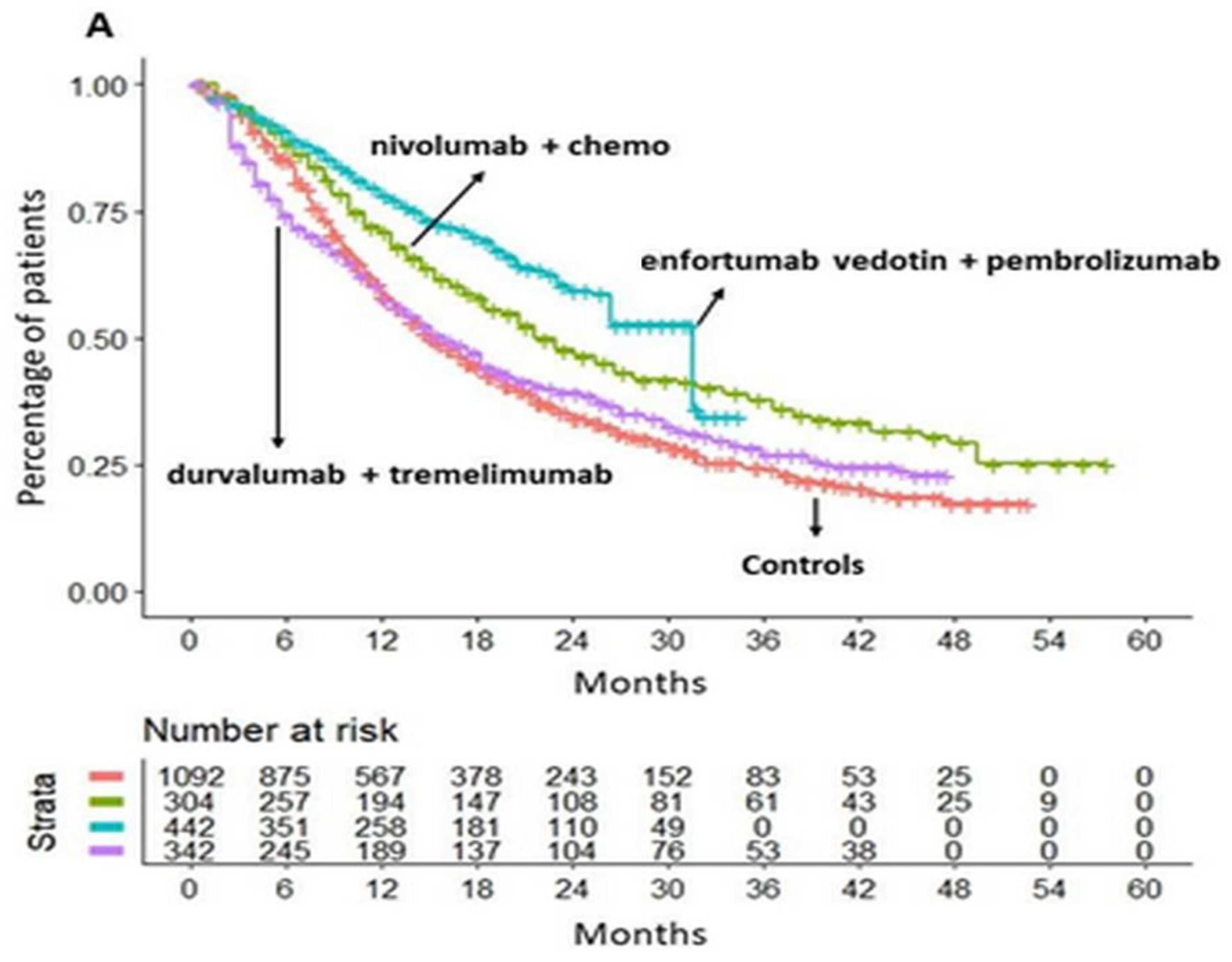 Cancers 16 02400 g003a