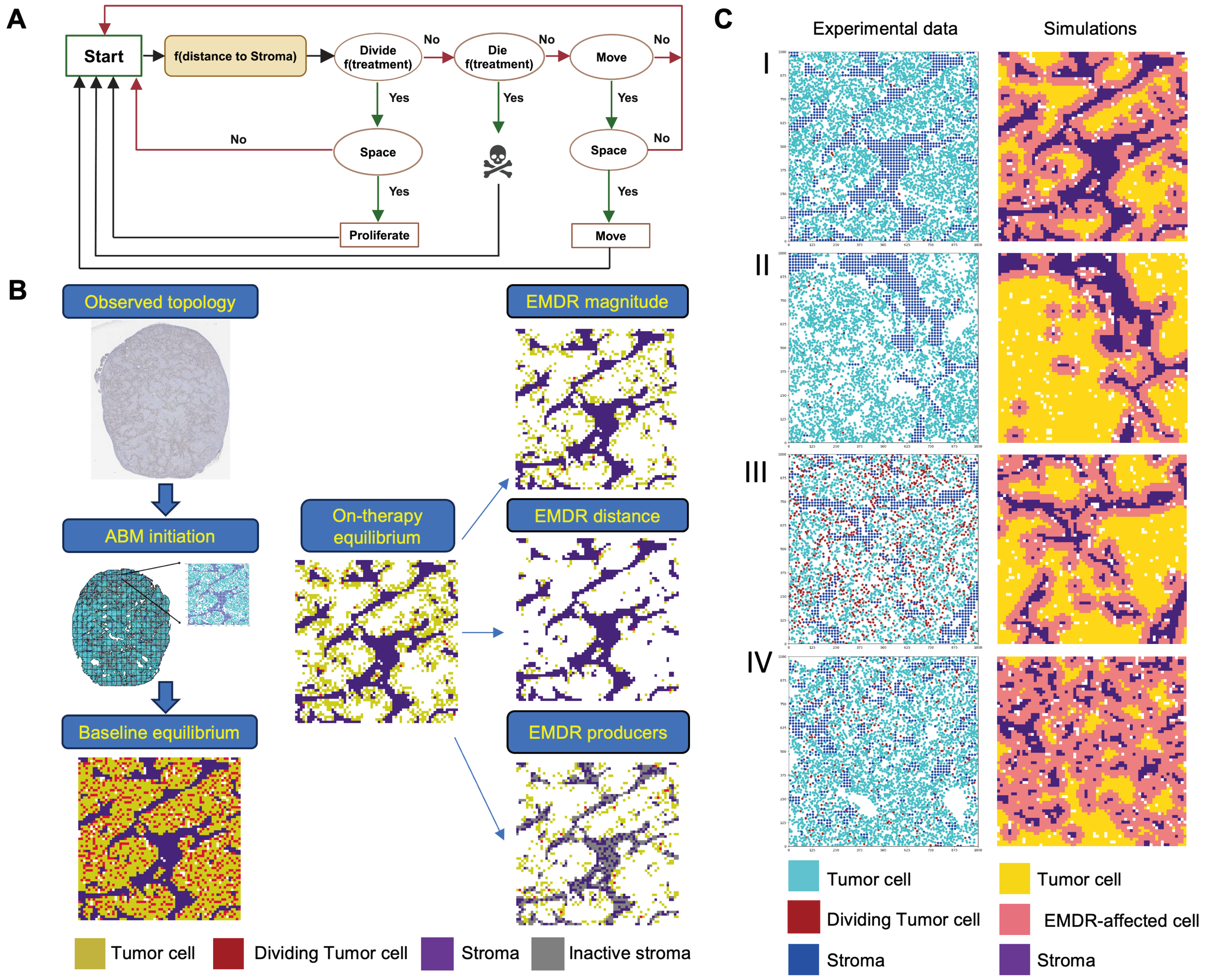 Cancers 16 02405 g004
