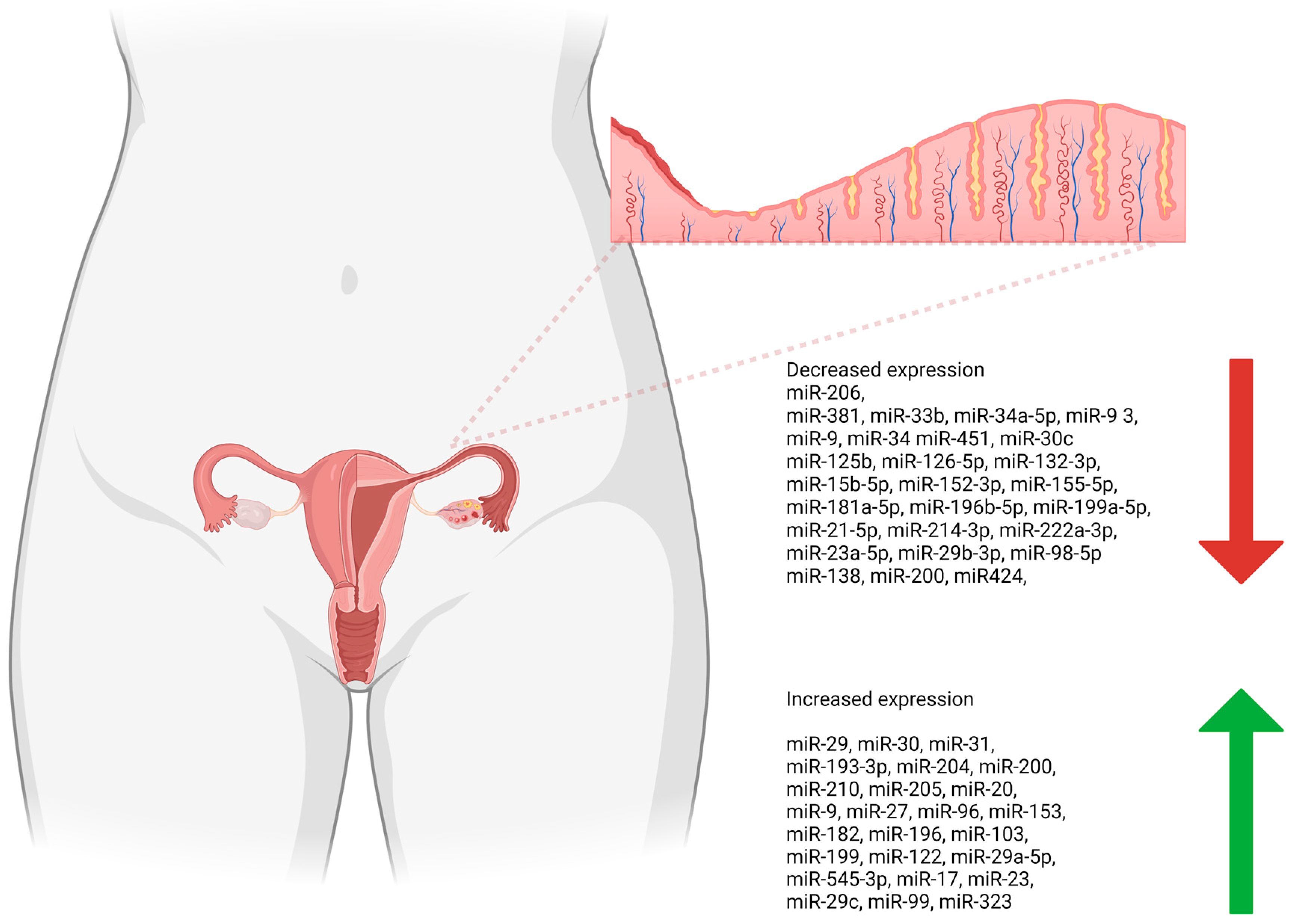 Cancers 16 02416 g002 Cancers 16 02416 g002