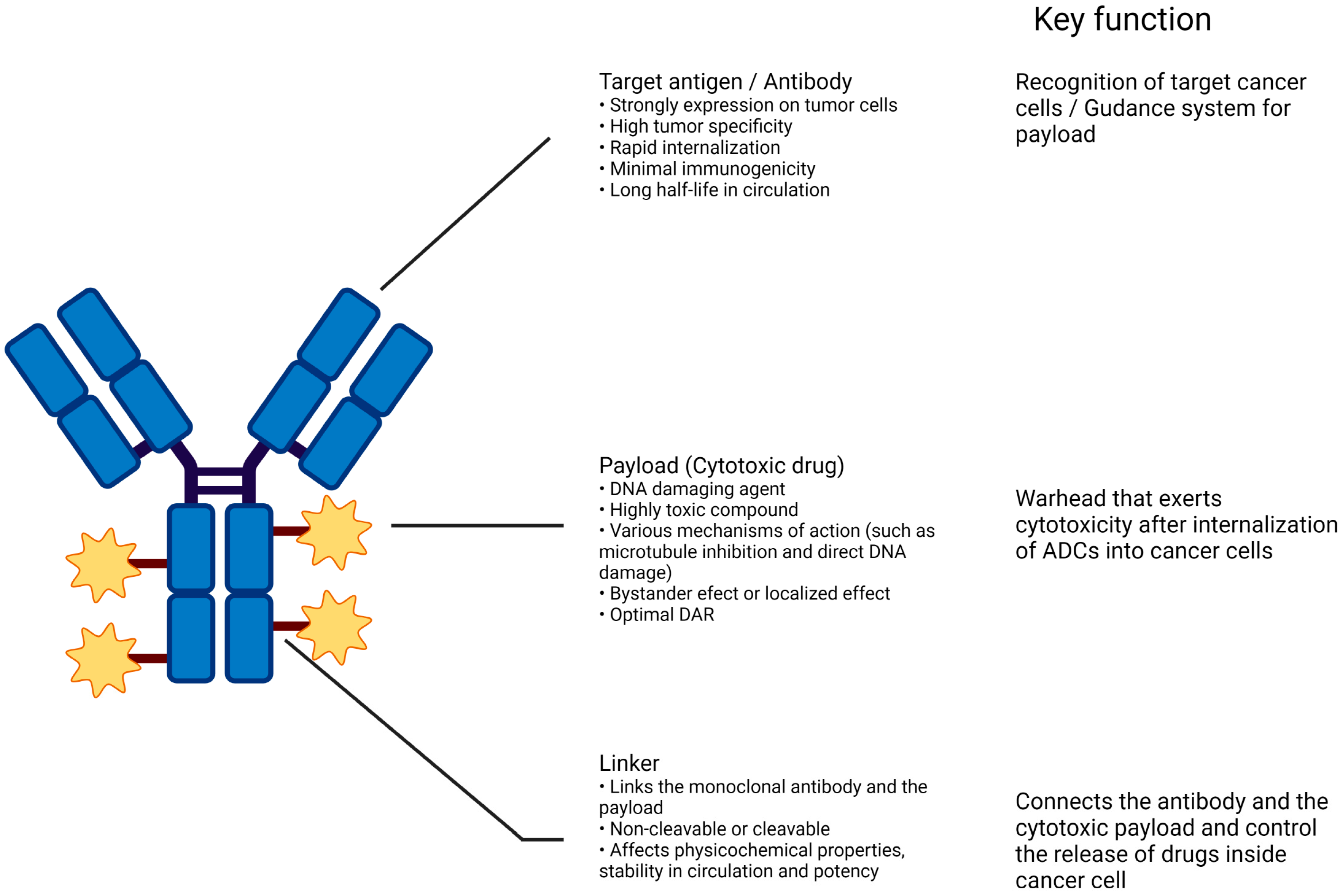 Cancers 16 02420 g001 Cancers 16 02420 g001