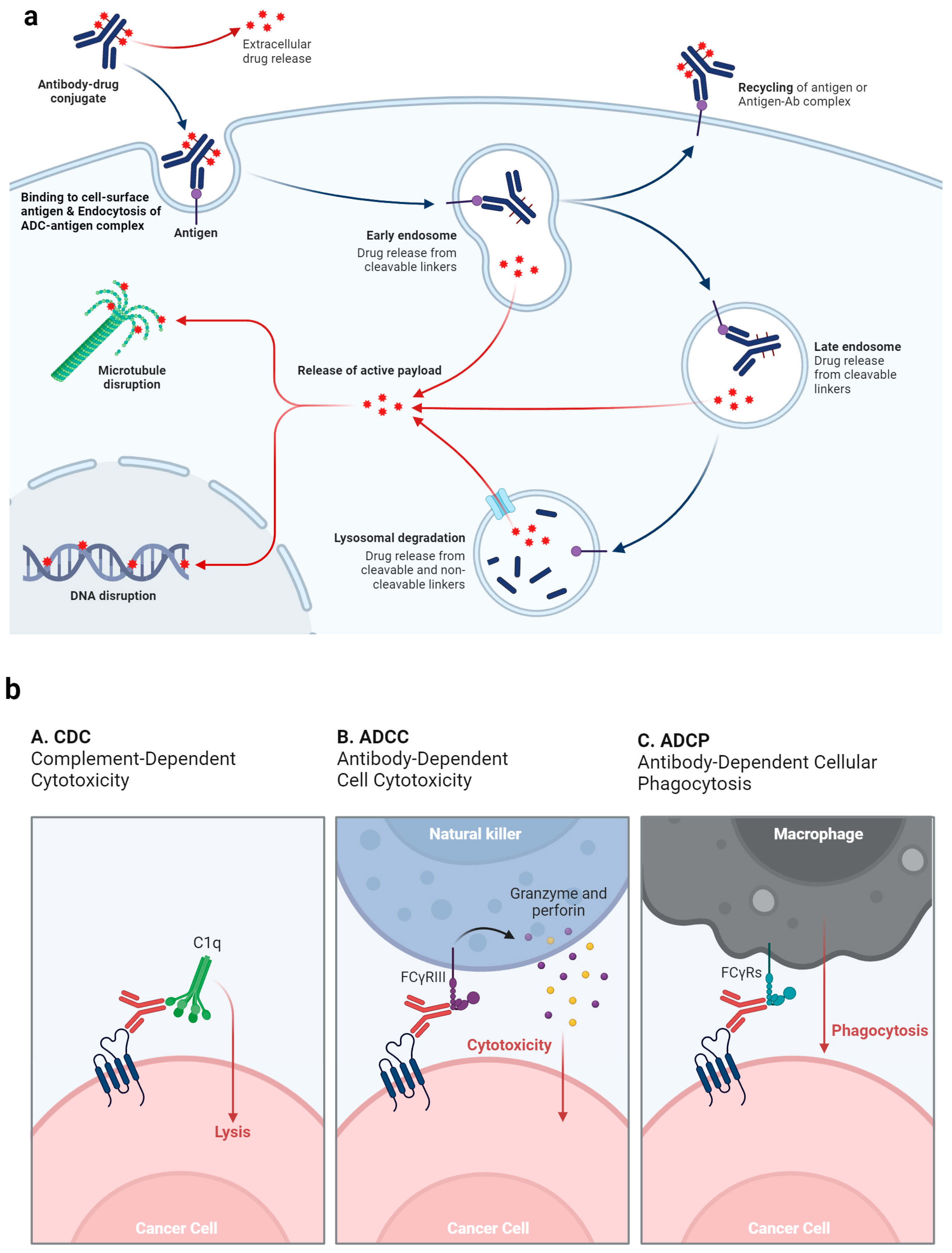 Cancers 16 02420 g002a Cancers 16 02420 g002a