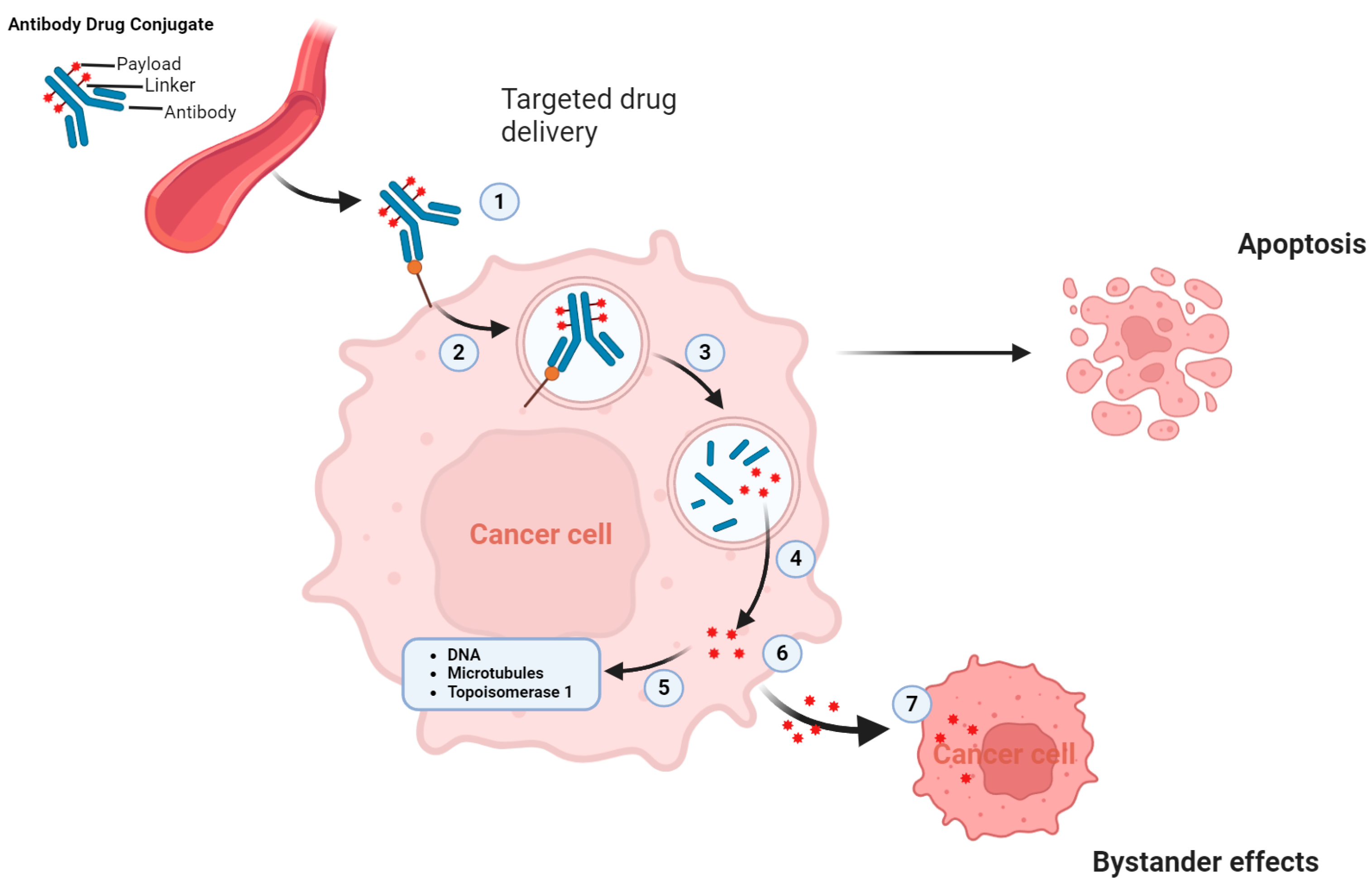 Cancers 16 02420 g003 Cancers 16 02420 g003