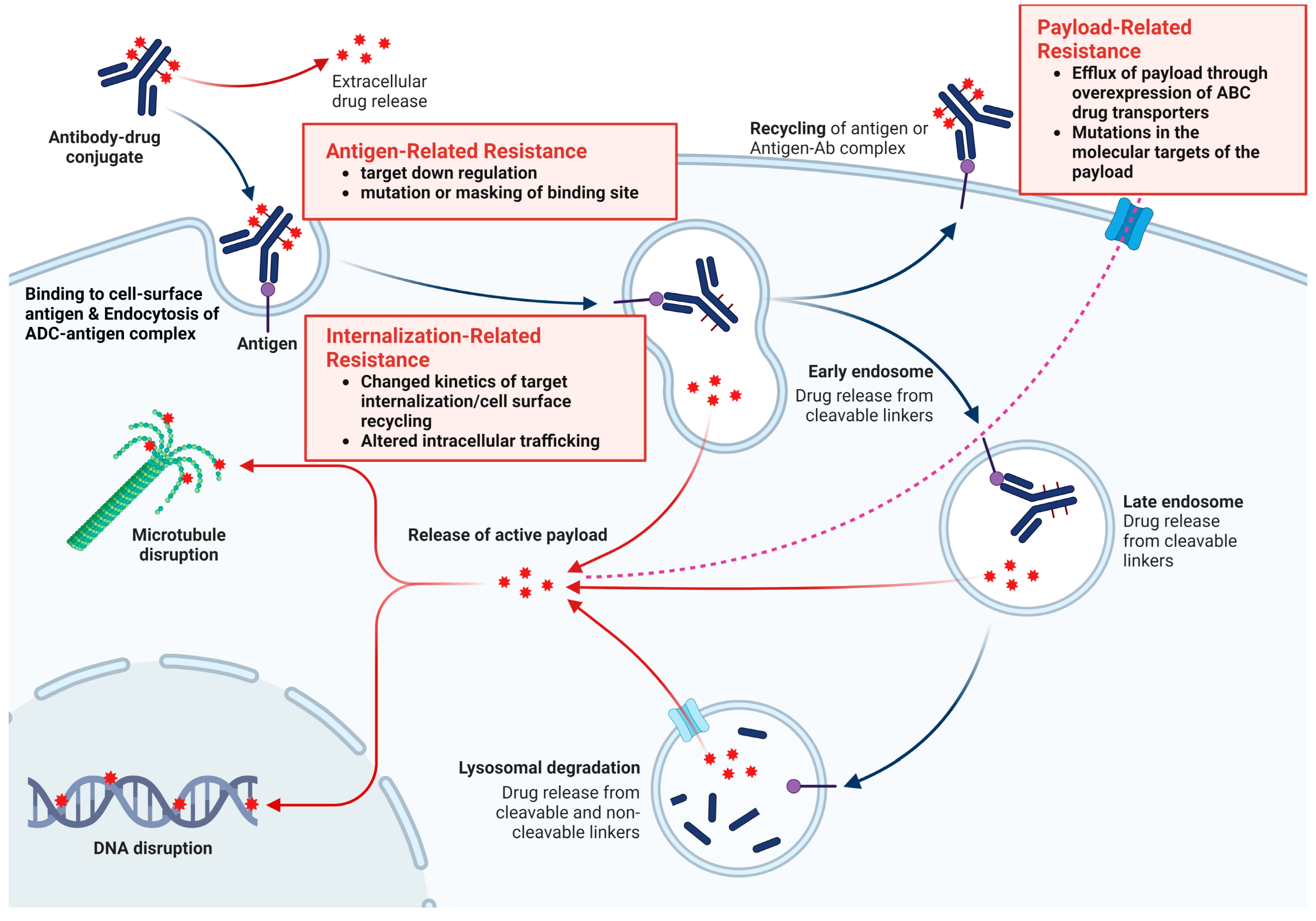Cancers 16 02420 g004 Cancers 16 02420 g004