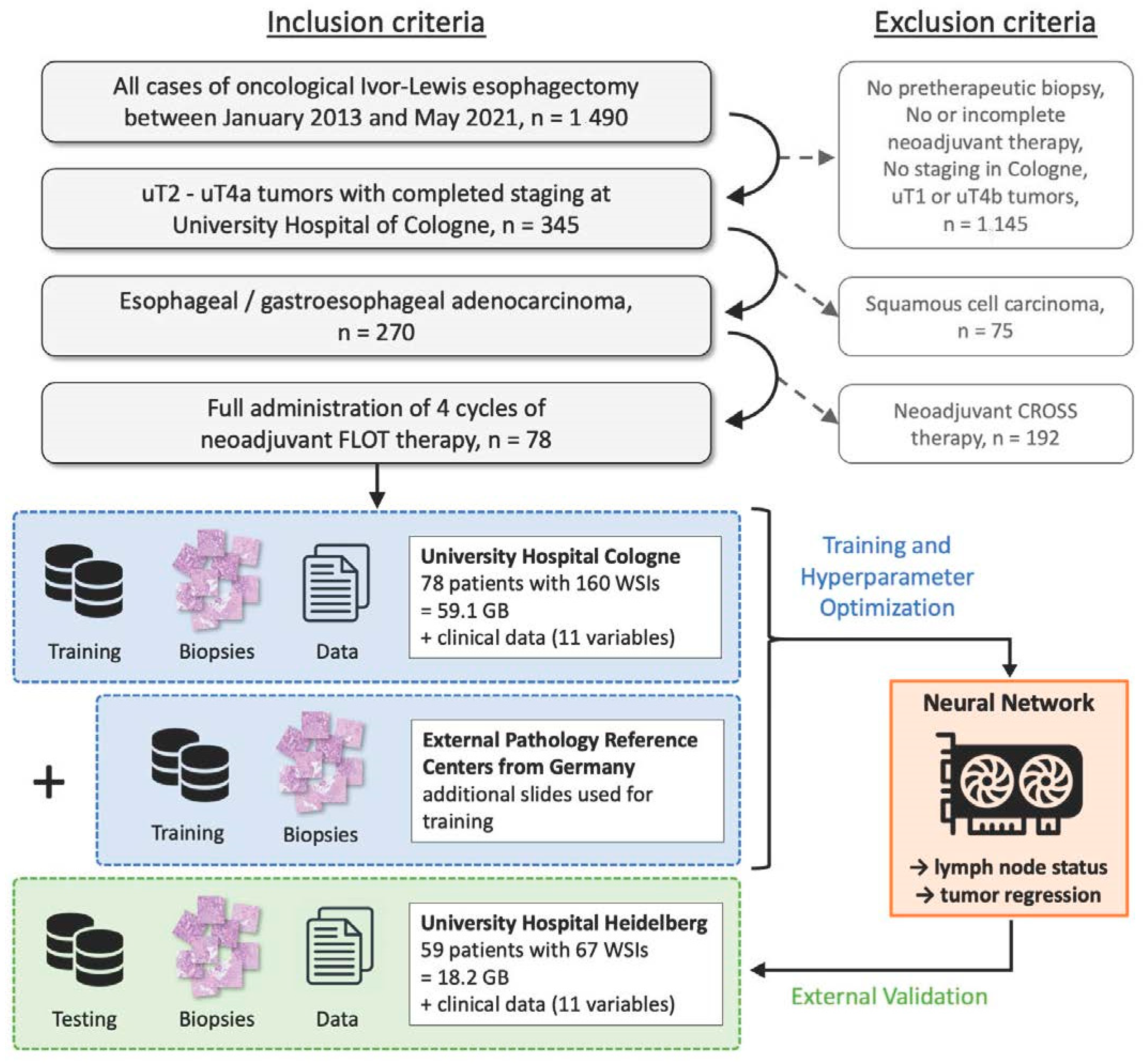 Cancers 16 02445 g001