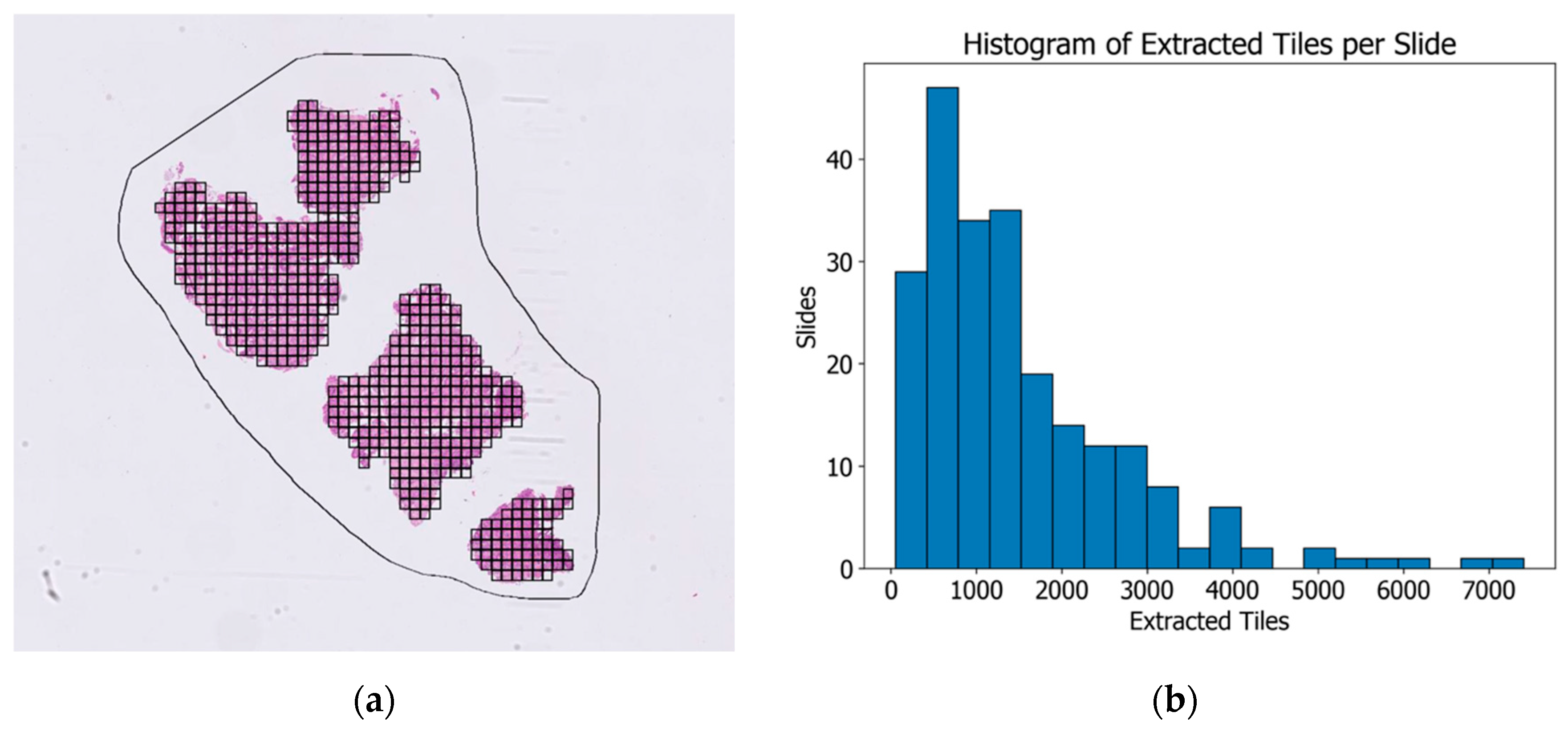 Cancers 16 02445 g002