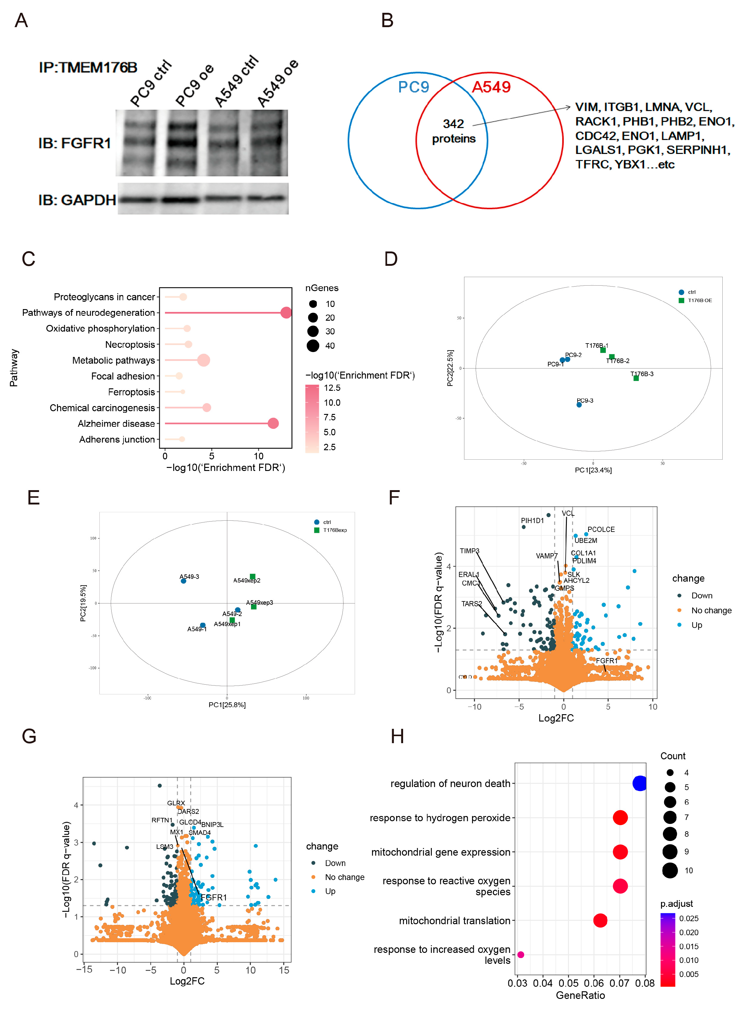 Cancers 16 02447 g005 Cancers 16 02447 g005