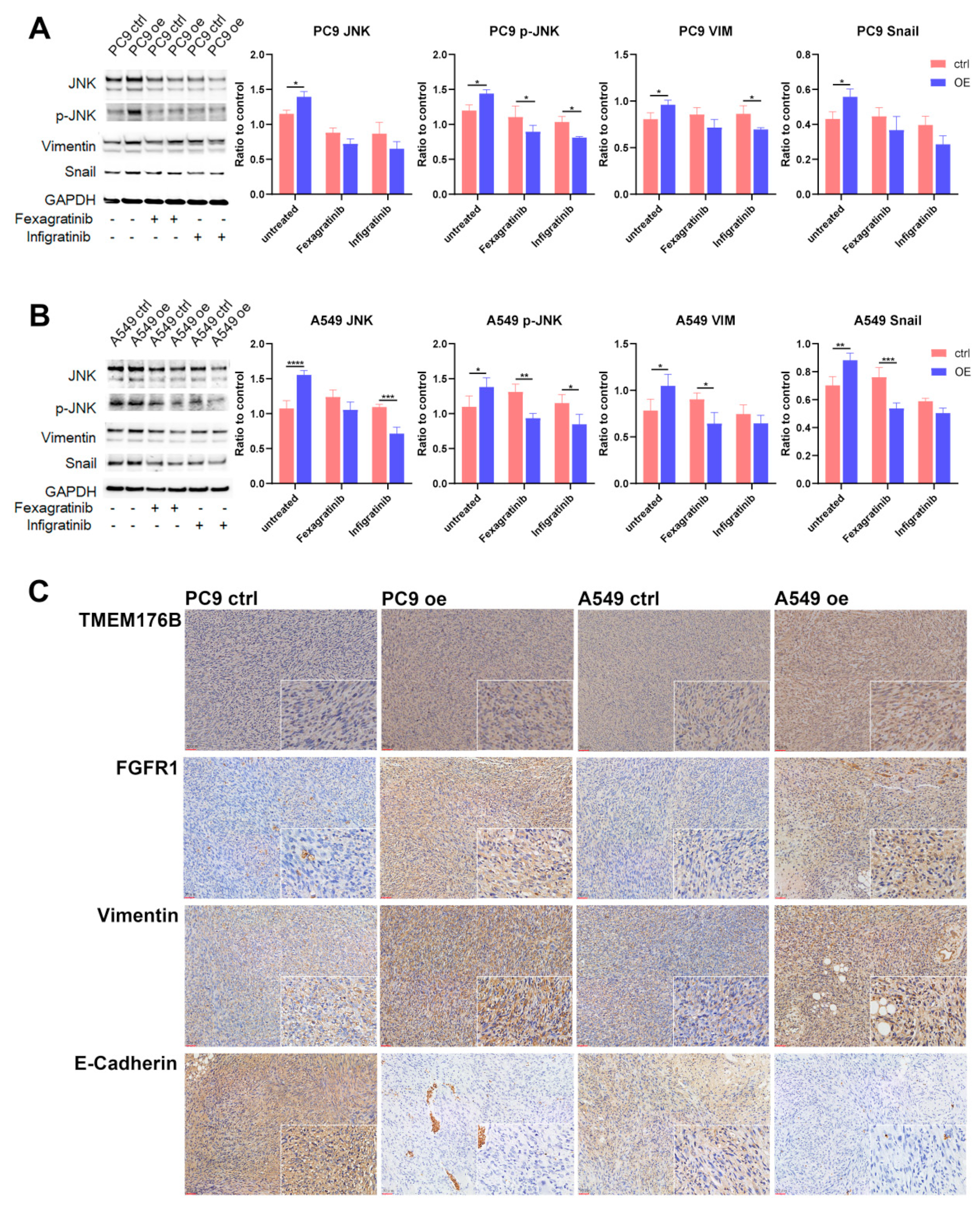 Cancers 16 02447 g007 Cancers 16 02447 g007