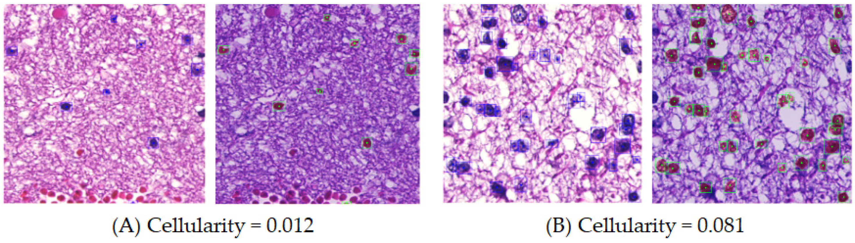 Cancers 16 02449 g003