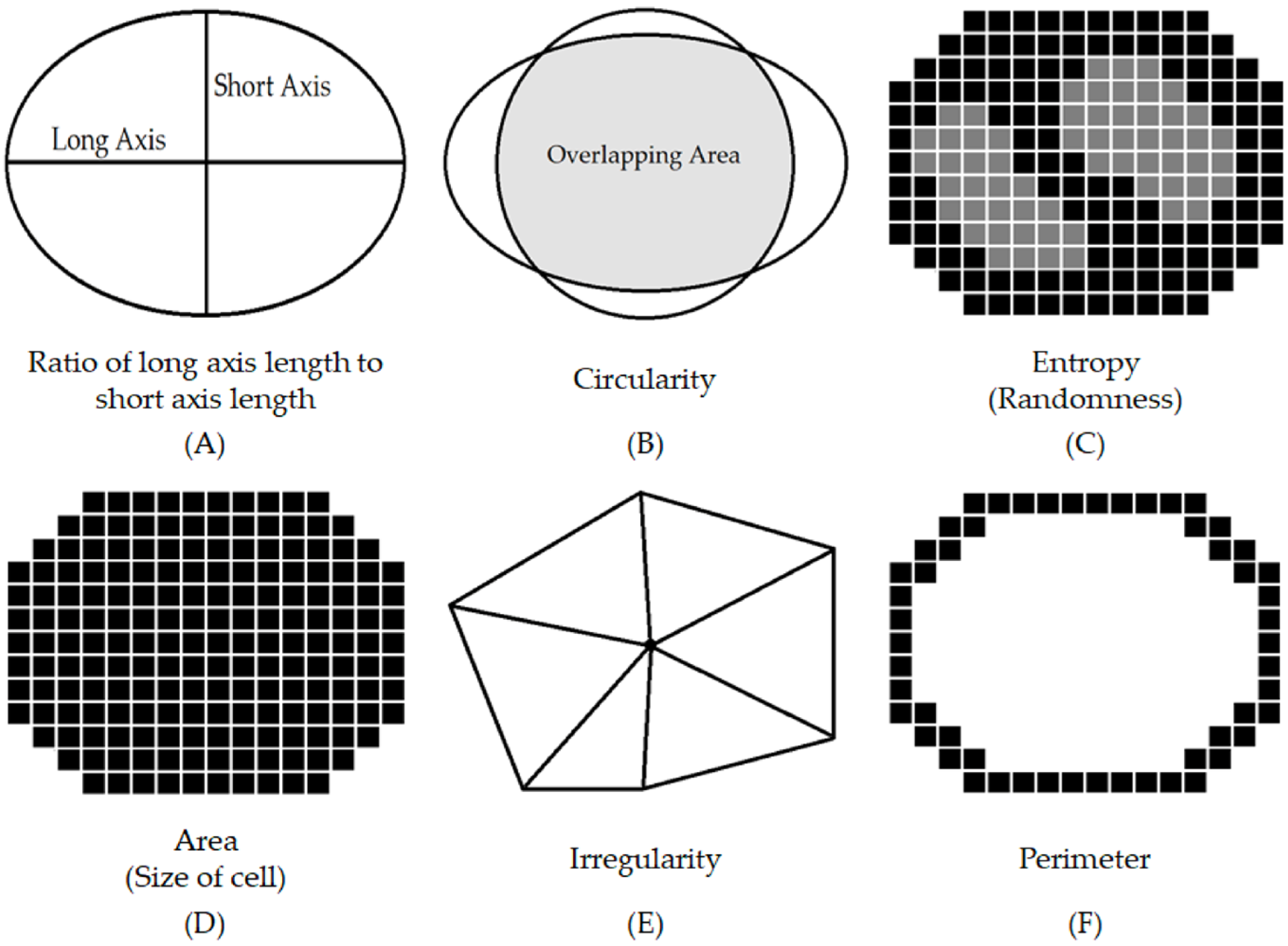 Cancers 16 02449 g004