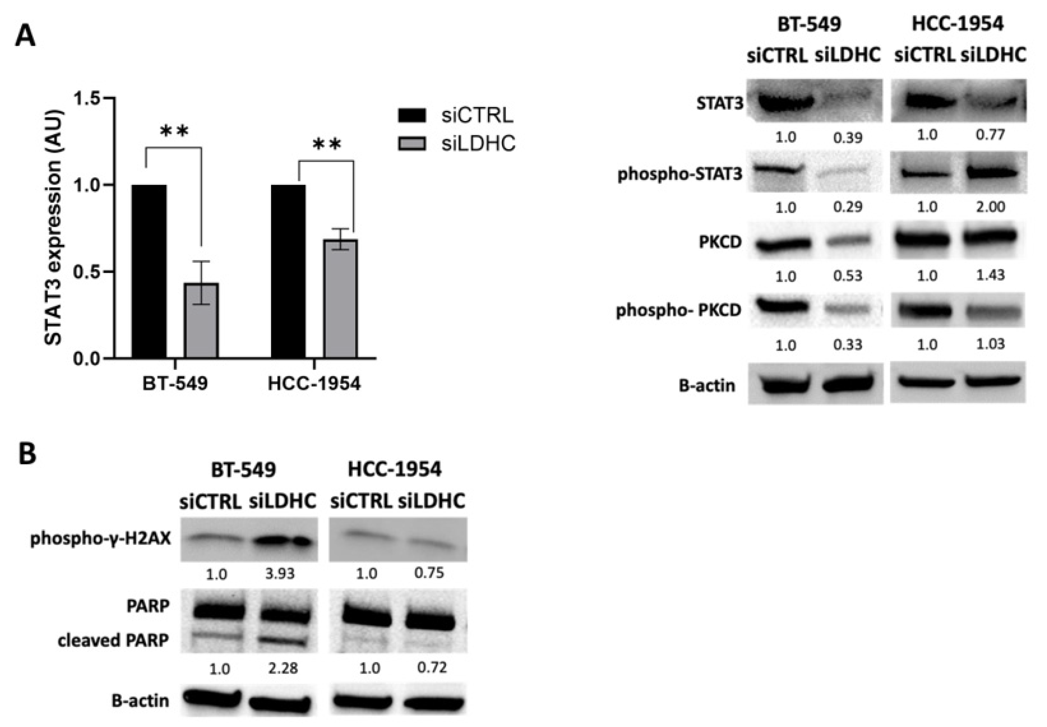 Cancers 16 02451 g003