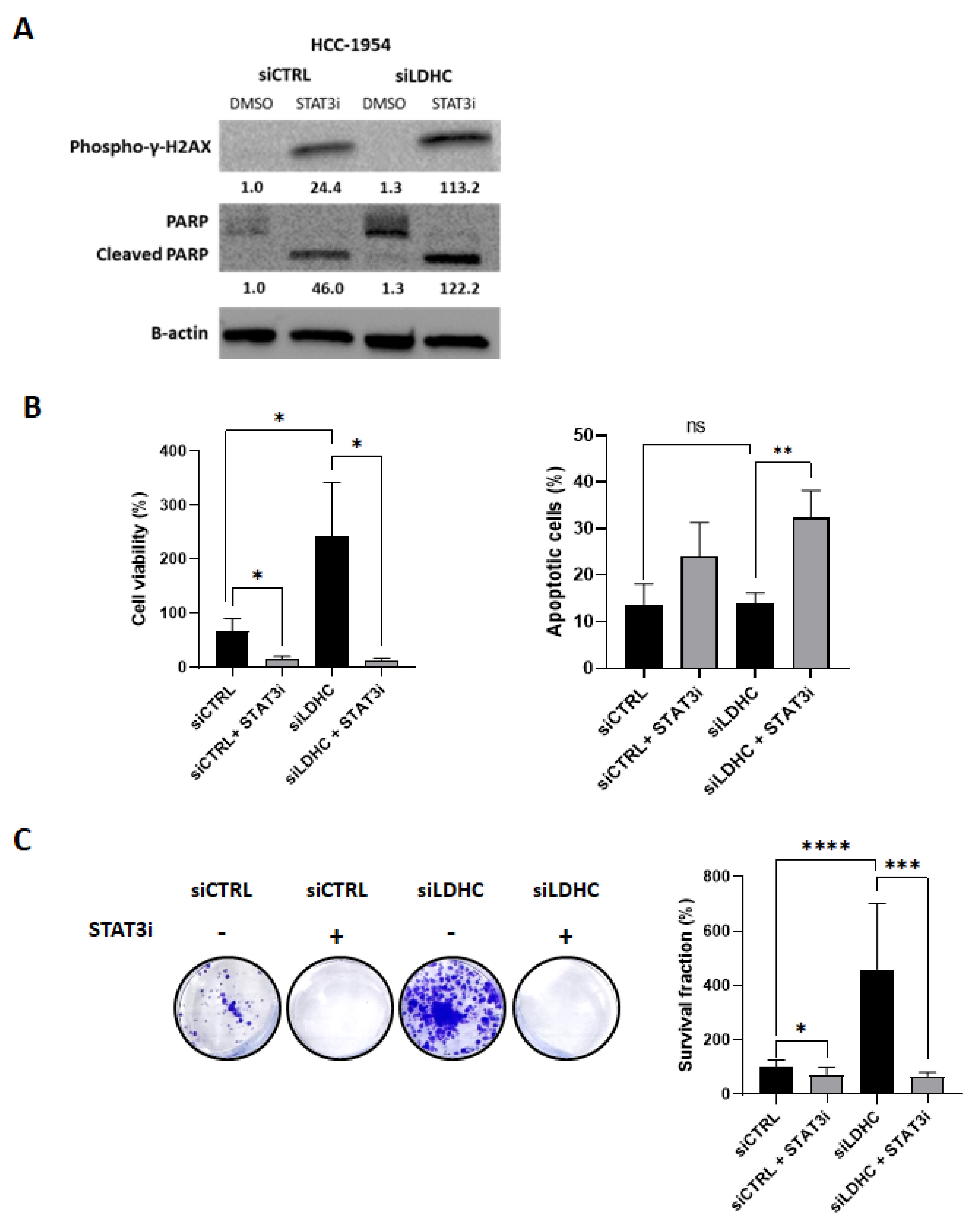 Cancers 16 02451 g004